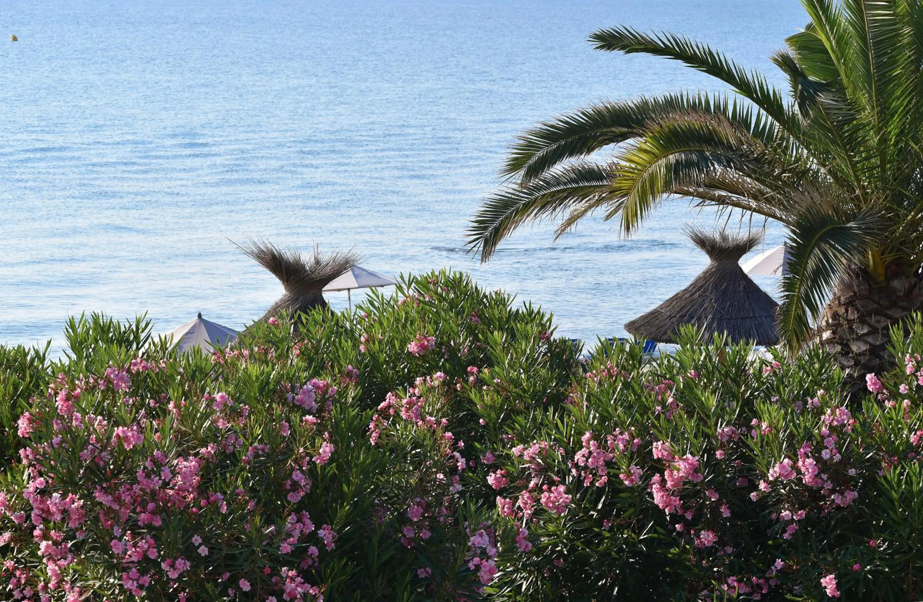 Natural landscape in Hotel & Restaurant San Pellegrino