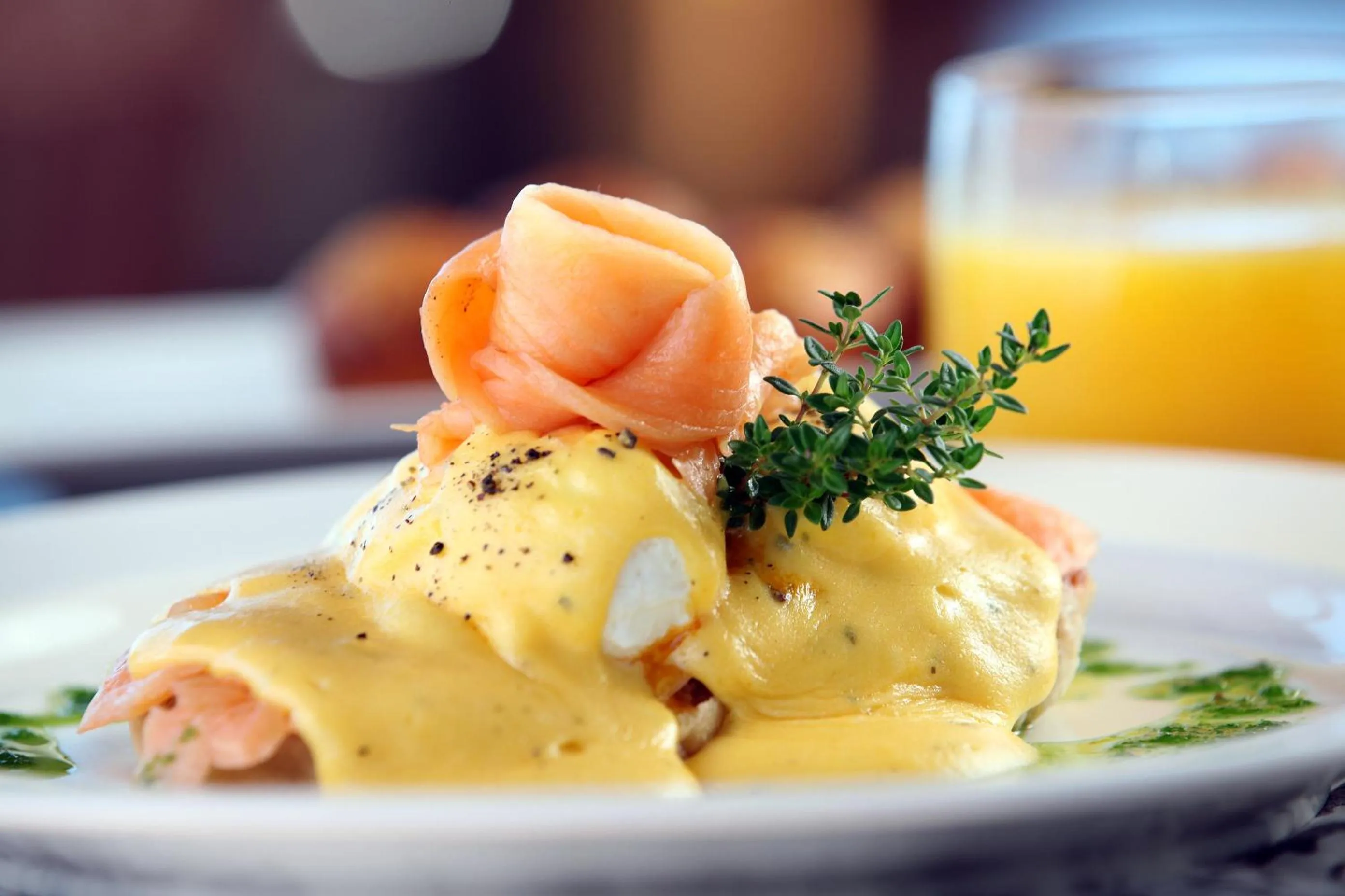 Food and drinks in Oceana Beach and Wildlife Reserve