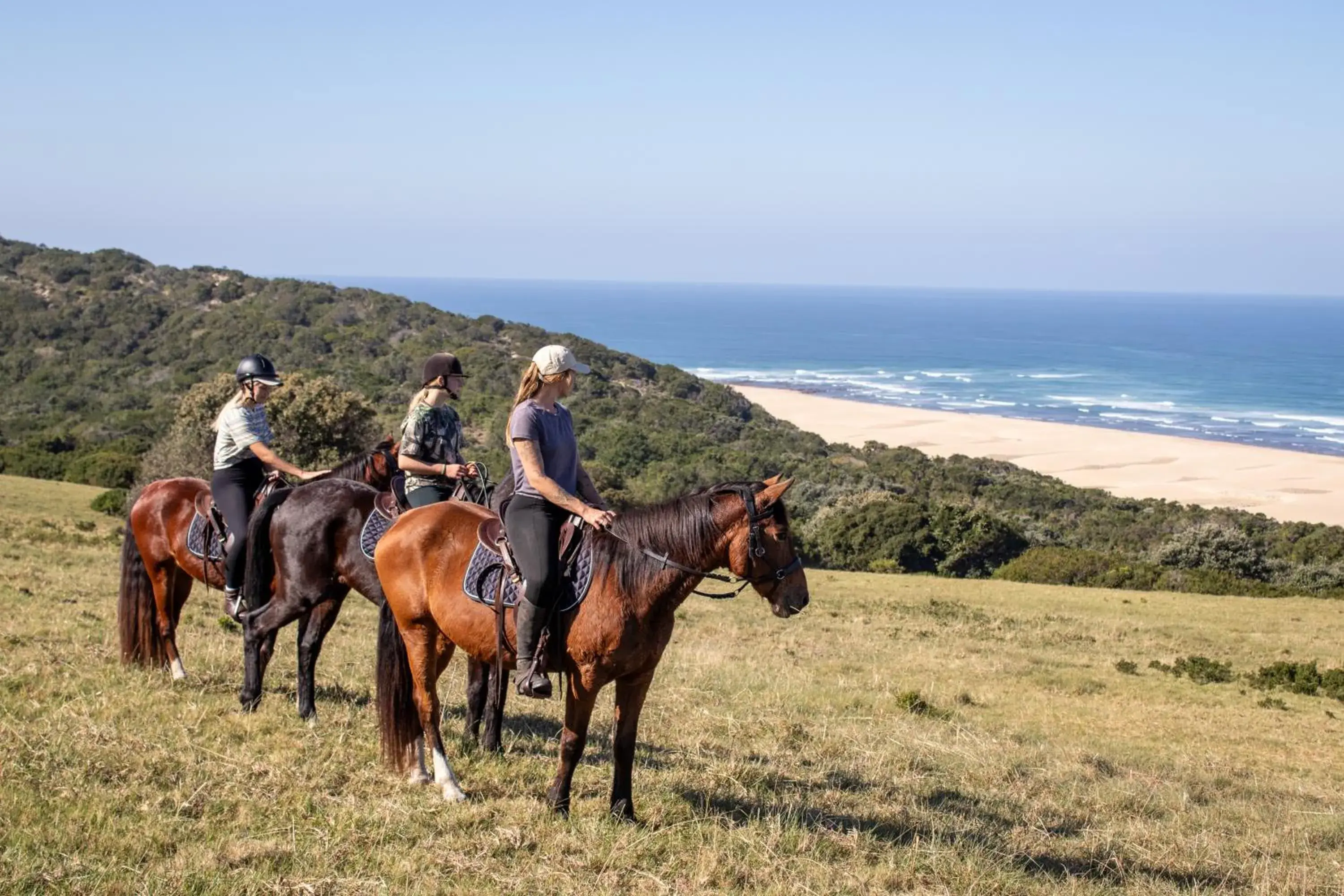 Oceana Beach and Wildlife Reserve Oceana Beach and Wildlife Reserve