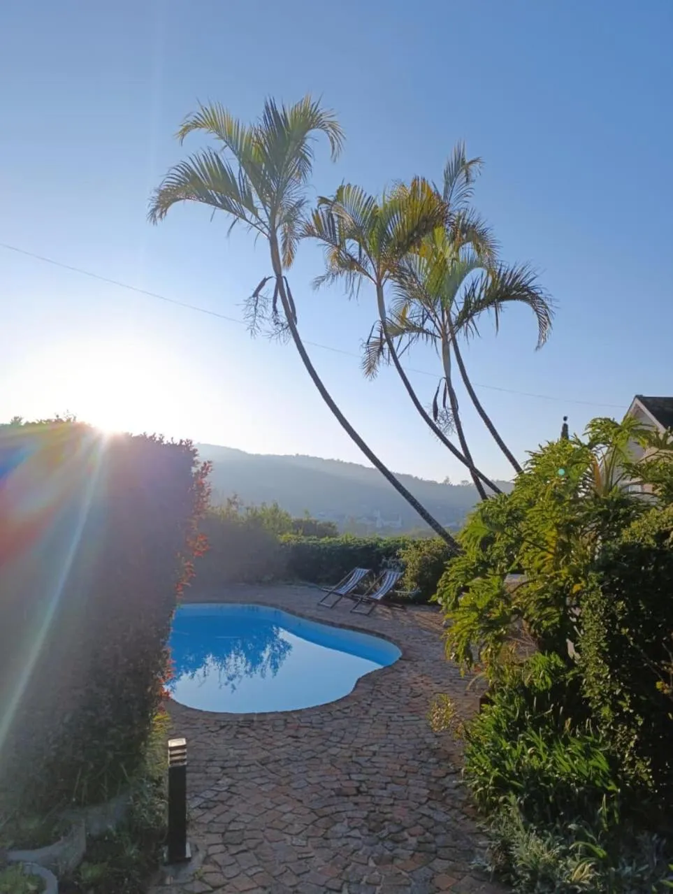Swimming pool in Guinea Fowl Lodge - Lagoon & Heads View B&B, Central Knysna