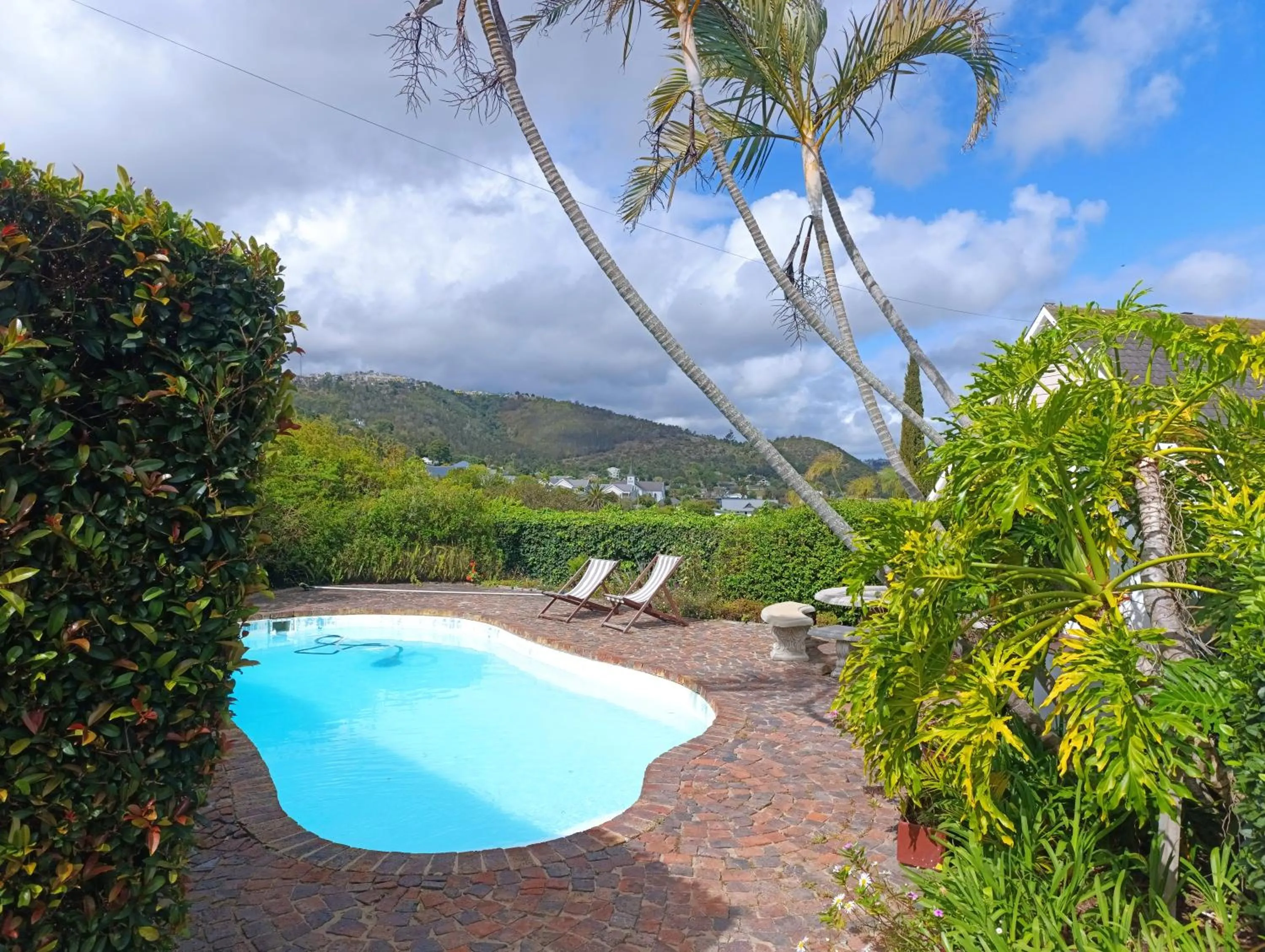 Garden in Guinea Fowl Lodge - Lagoon & Heads View B&B, Central Knysna