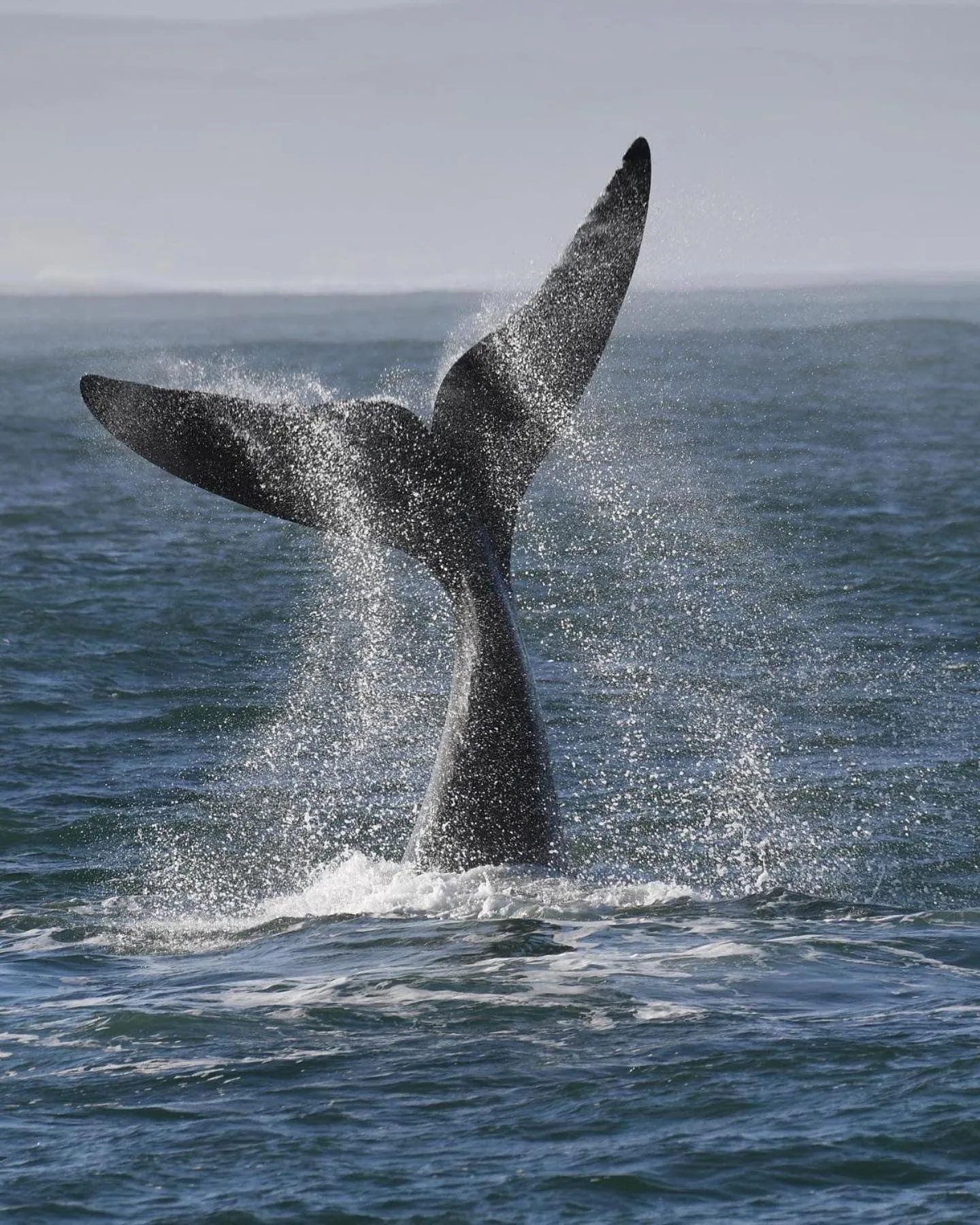 Day in Sixteen Guesthouse on Main