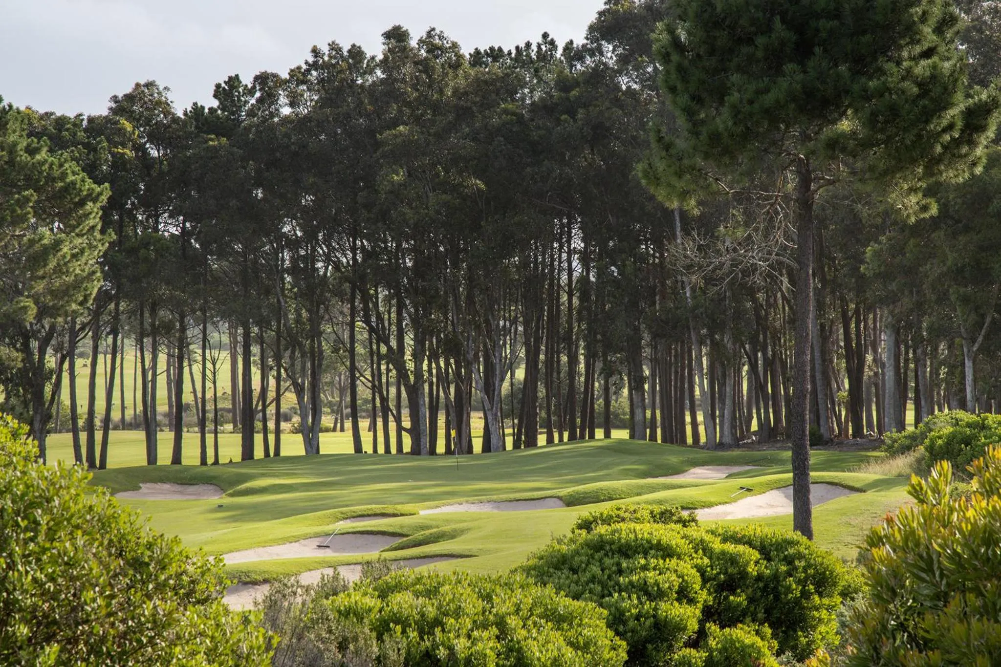 Golfcourse in Sixteen Guesthouse on Main