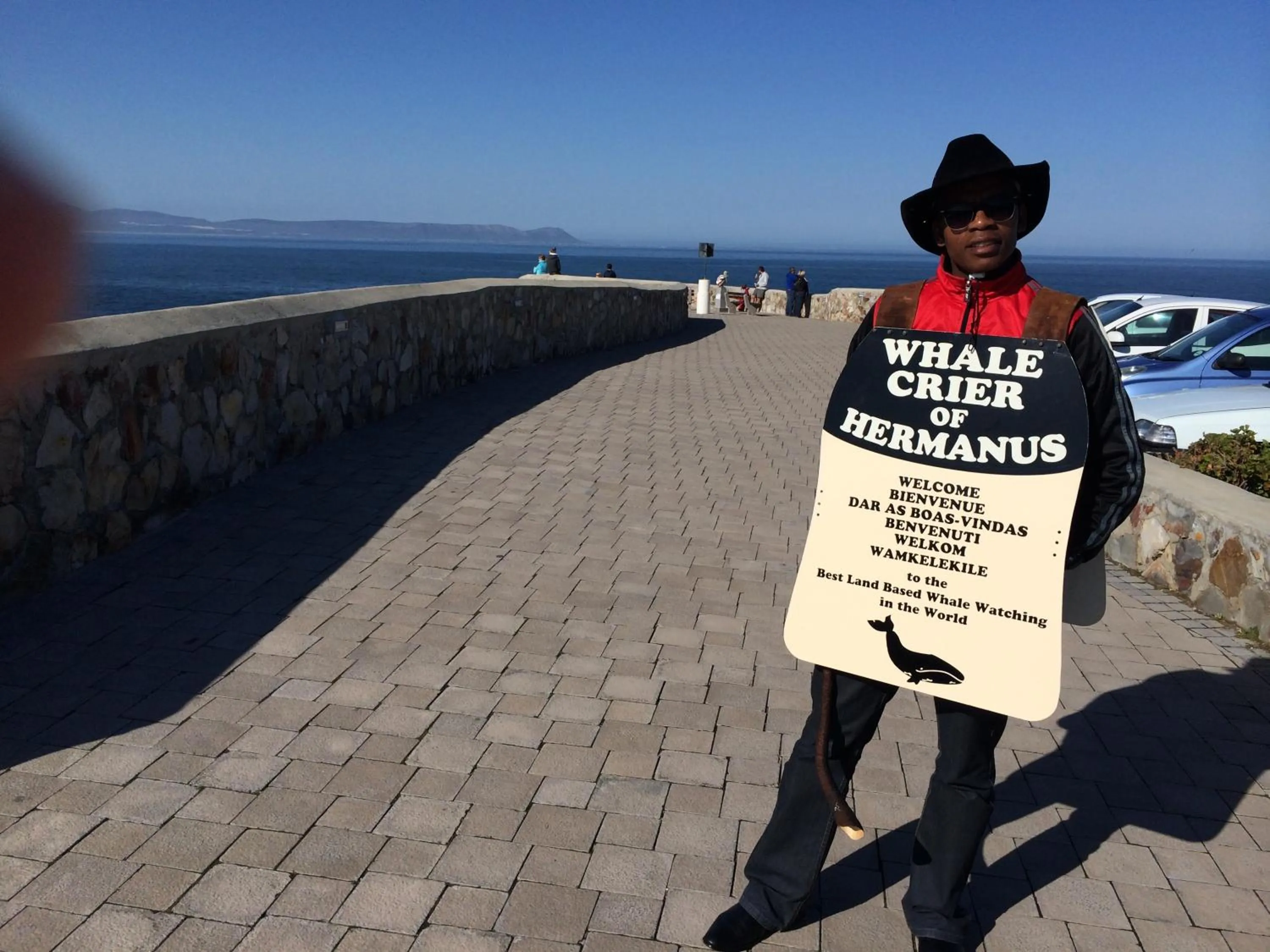 Natural landscape in Sixteen Guesthouse on Main