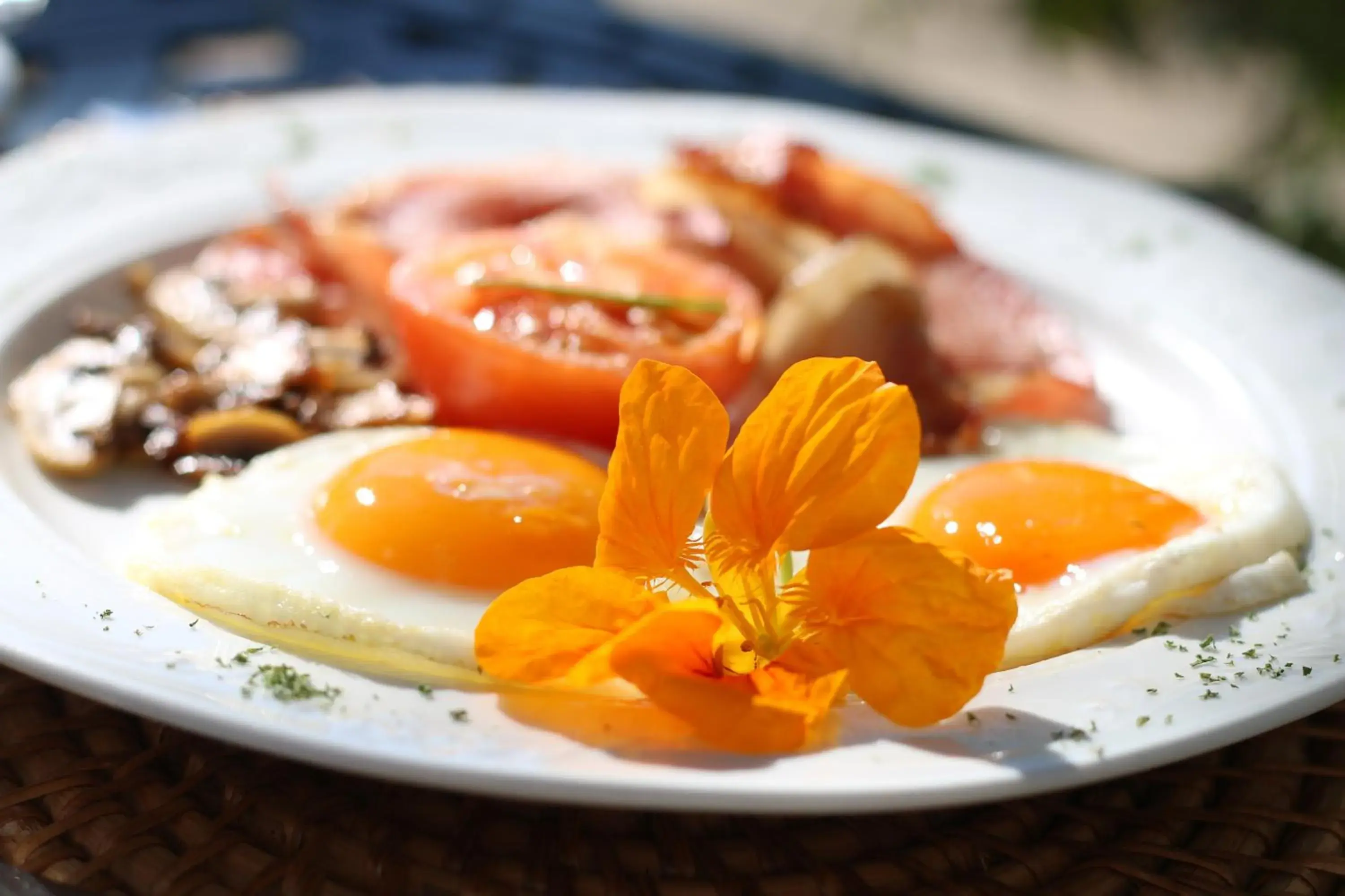 Food in Albourne Guesthouse Food in Albourne Guesthouse
