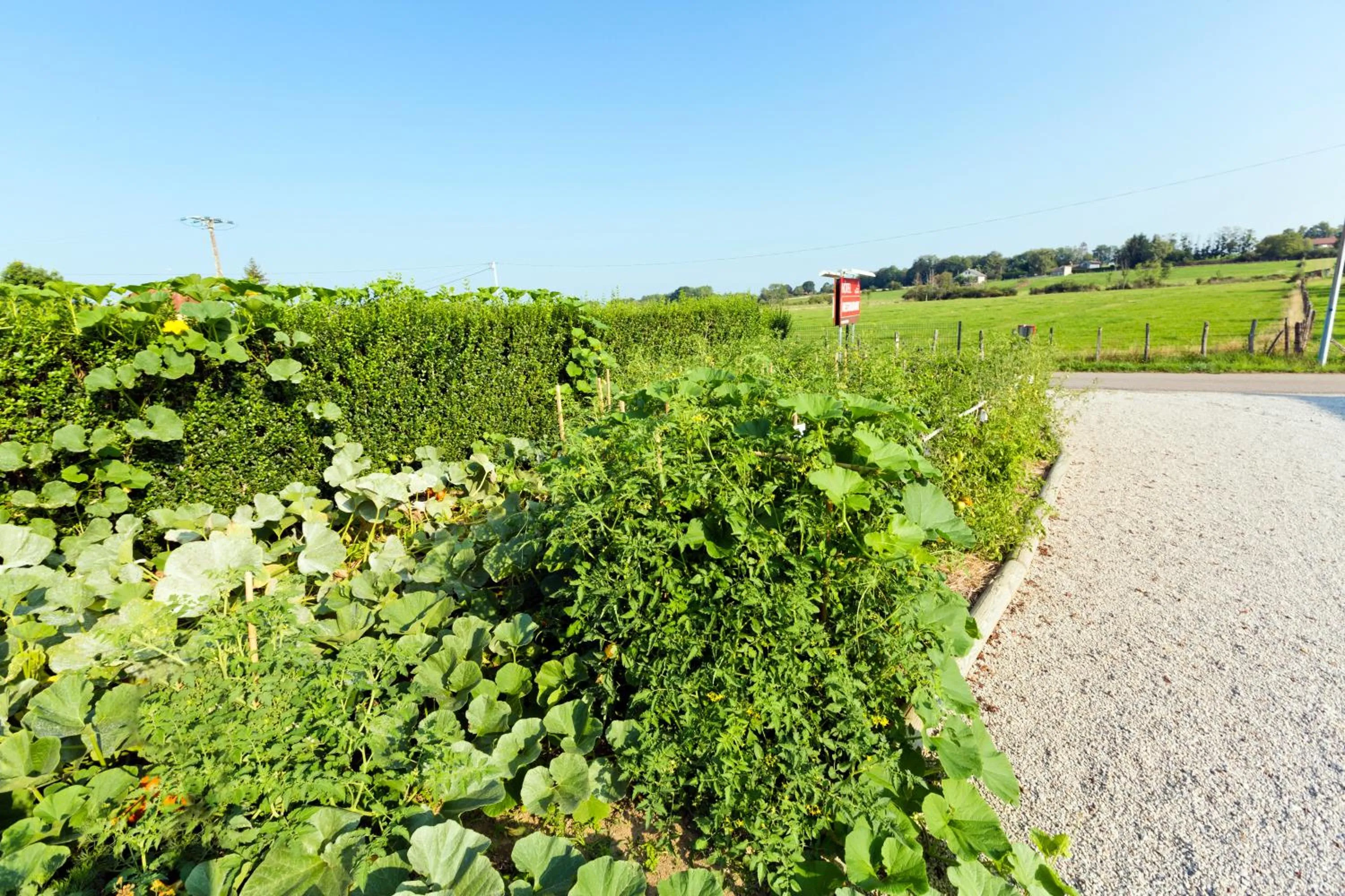 Natural landscape in Hôtel Auberge de Chavannes