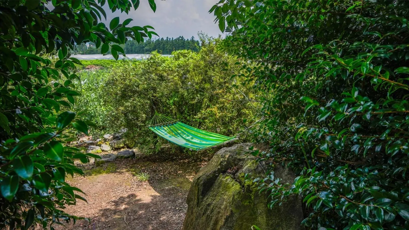 Natural landscape in Jeju Eco Suites