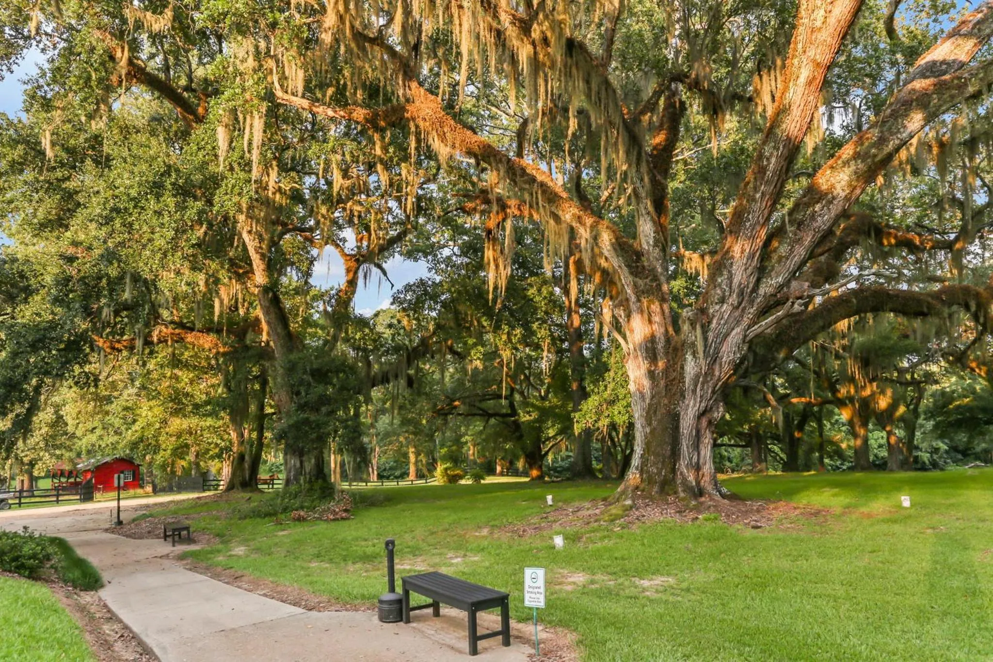 View (from property/room) in Greenwood Plantation B&B Inn