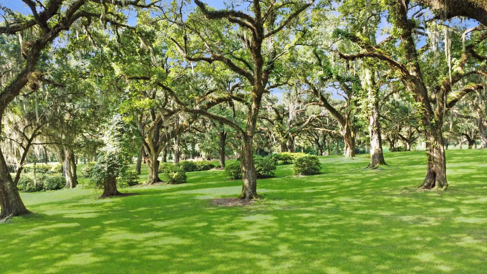 Natural landscape in Greenwood Plantation B&B Inn