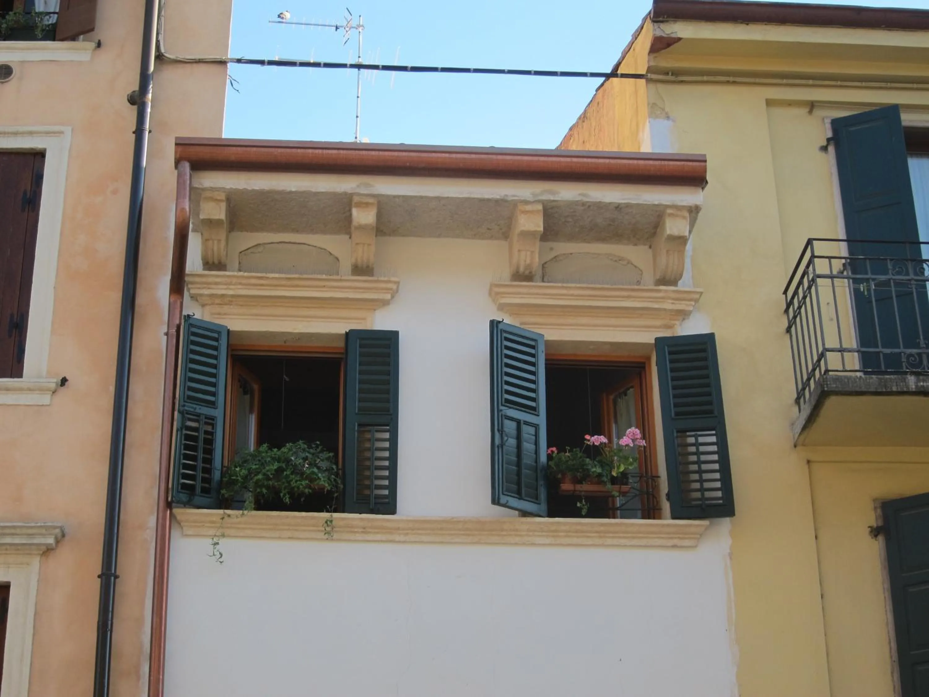 Property building in B&B King