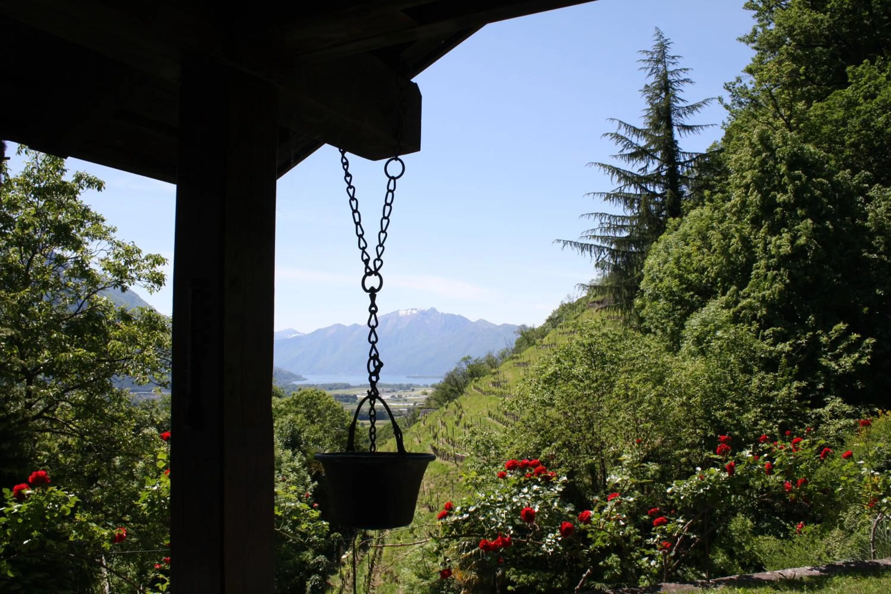 Mountain view in Tenuta Casa Cima - tenutacasacima com -