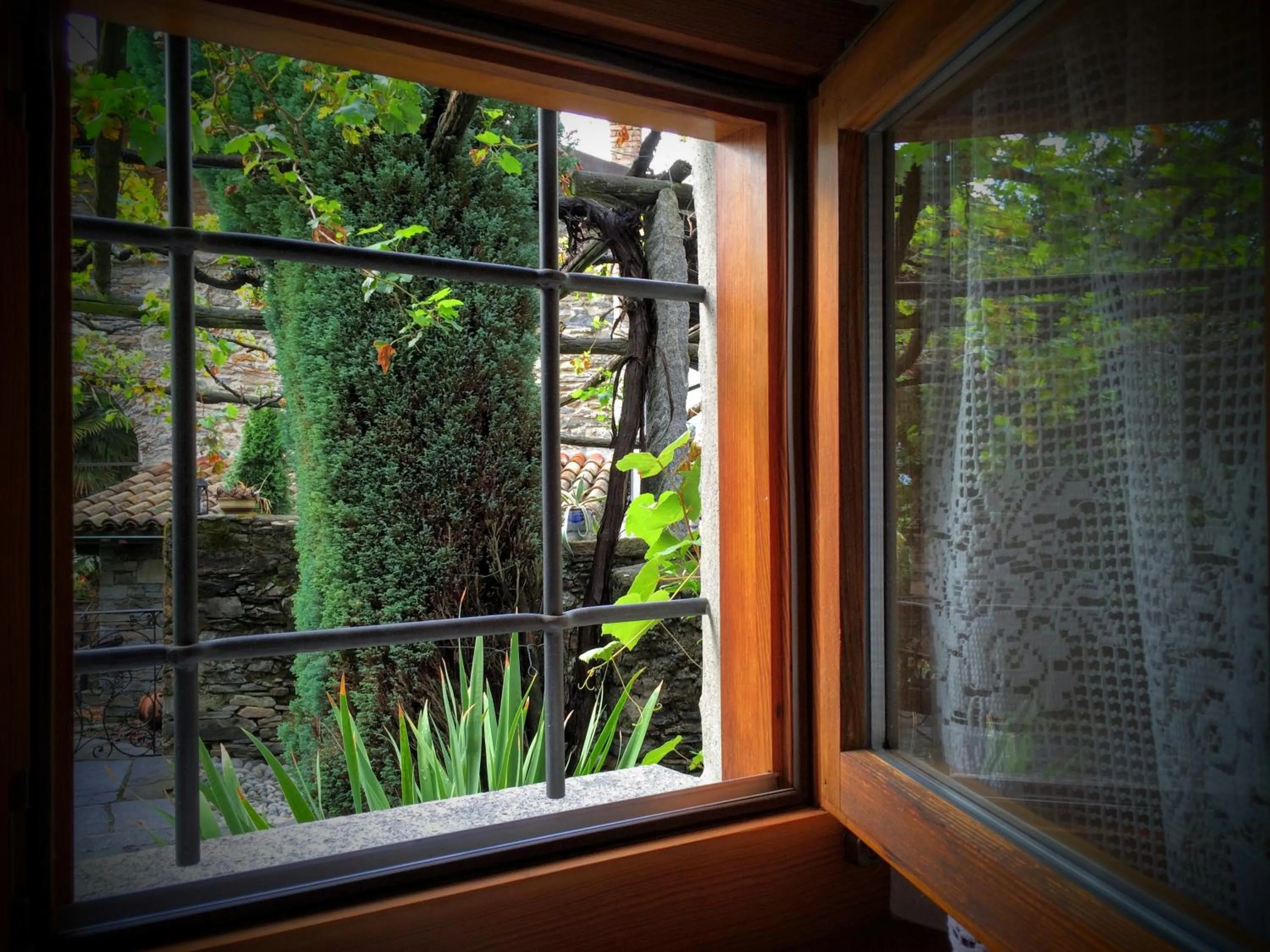 Garden view in Tenuta Casa Cima - tenutacasacima com -