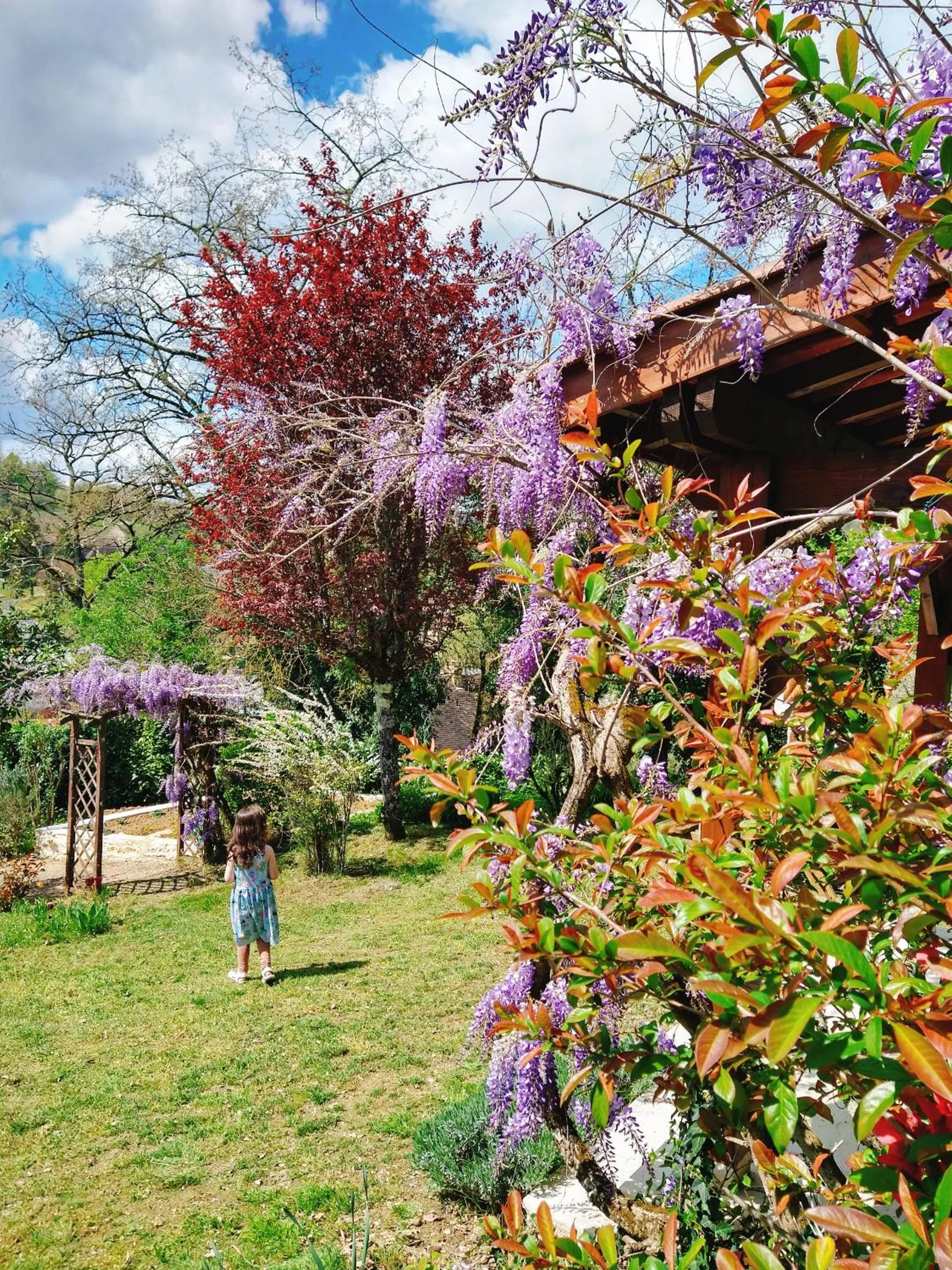 Garden in La Colline - Chambre d'hôtes - B&B