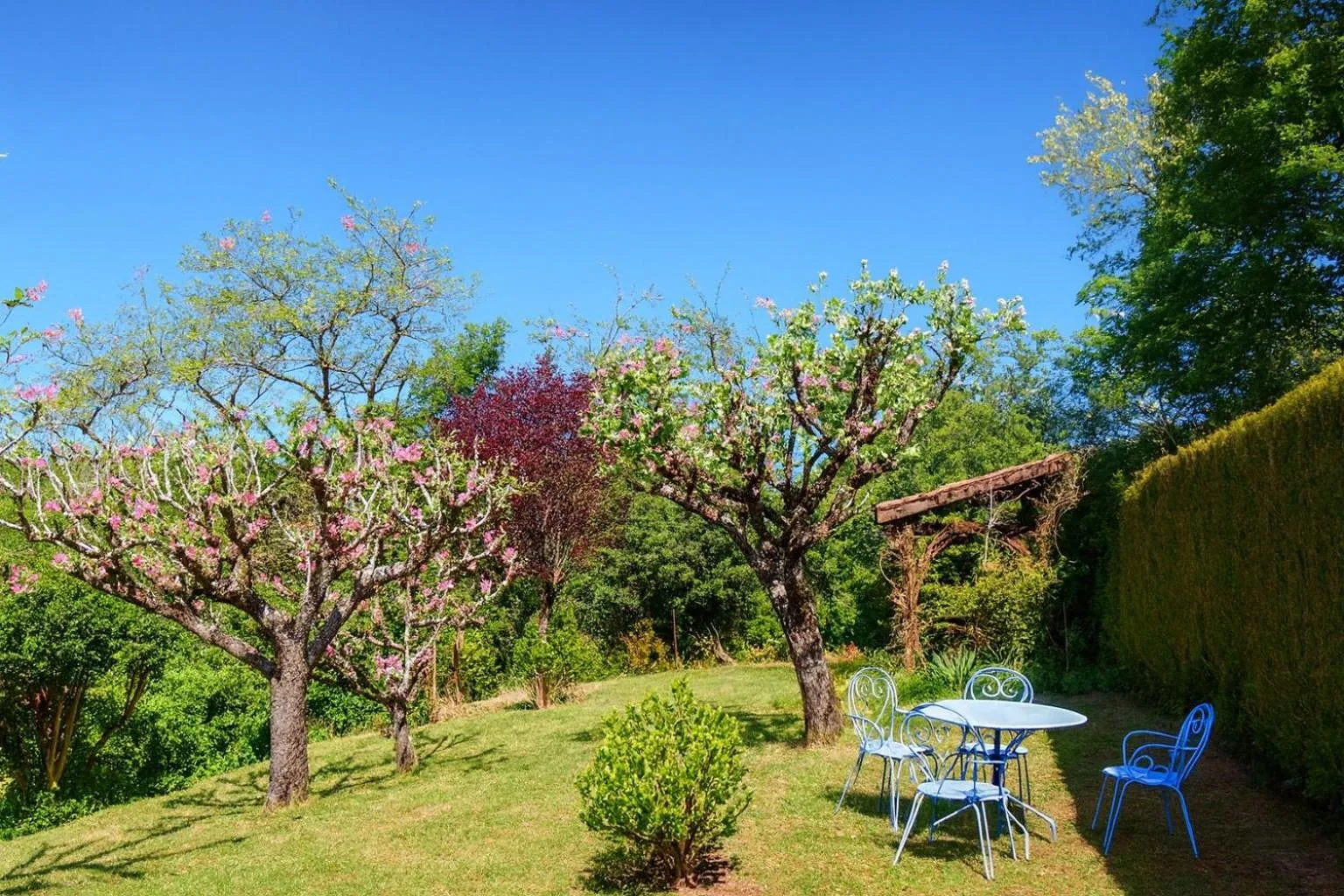 Garden in La Colline - Chambre d'hôtes - B&B