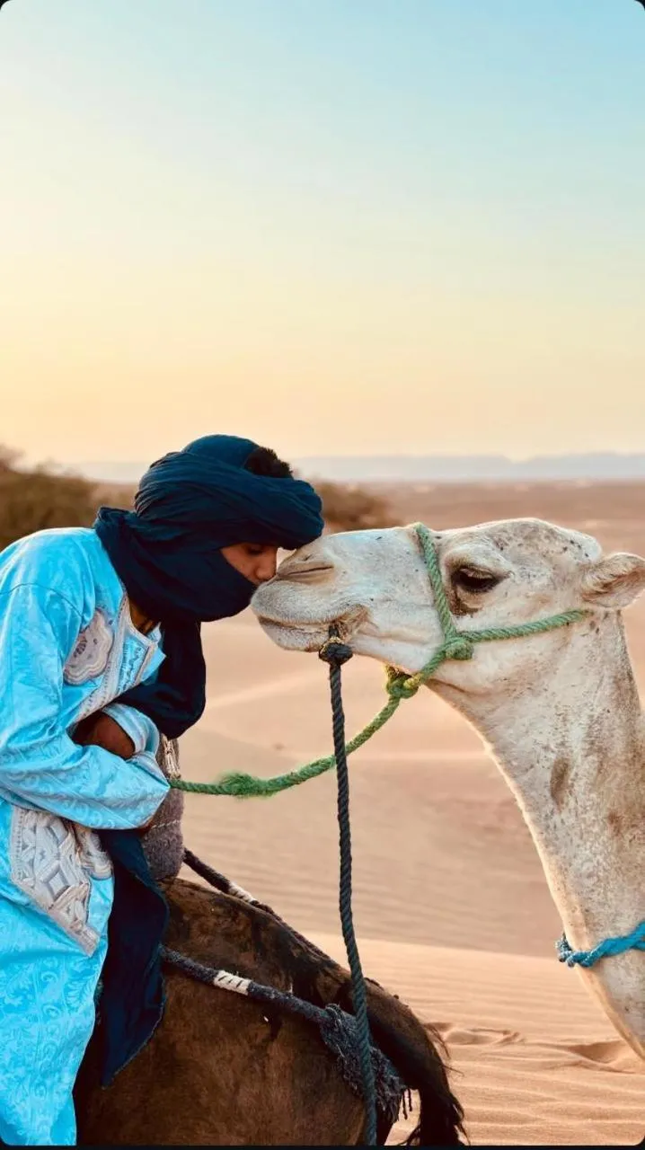 Pets in Authentique berber Camp & Activities