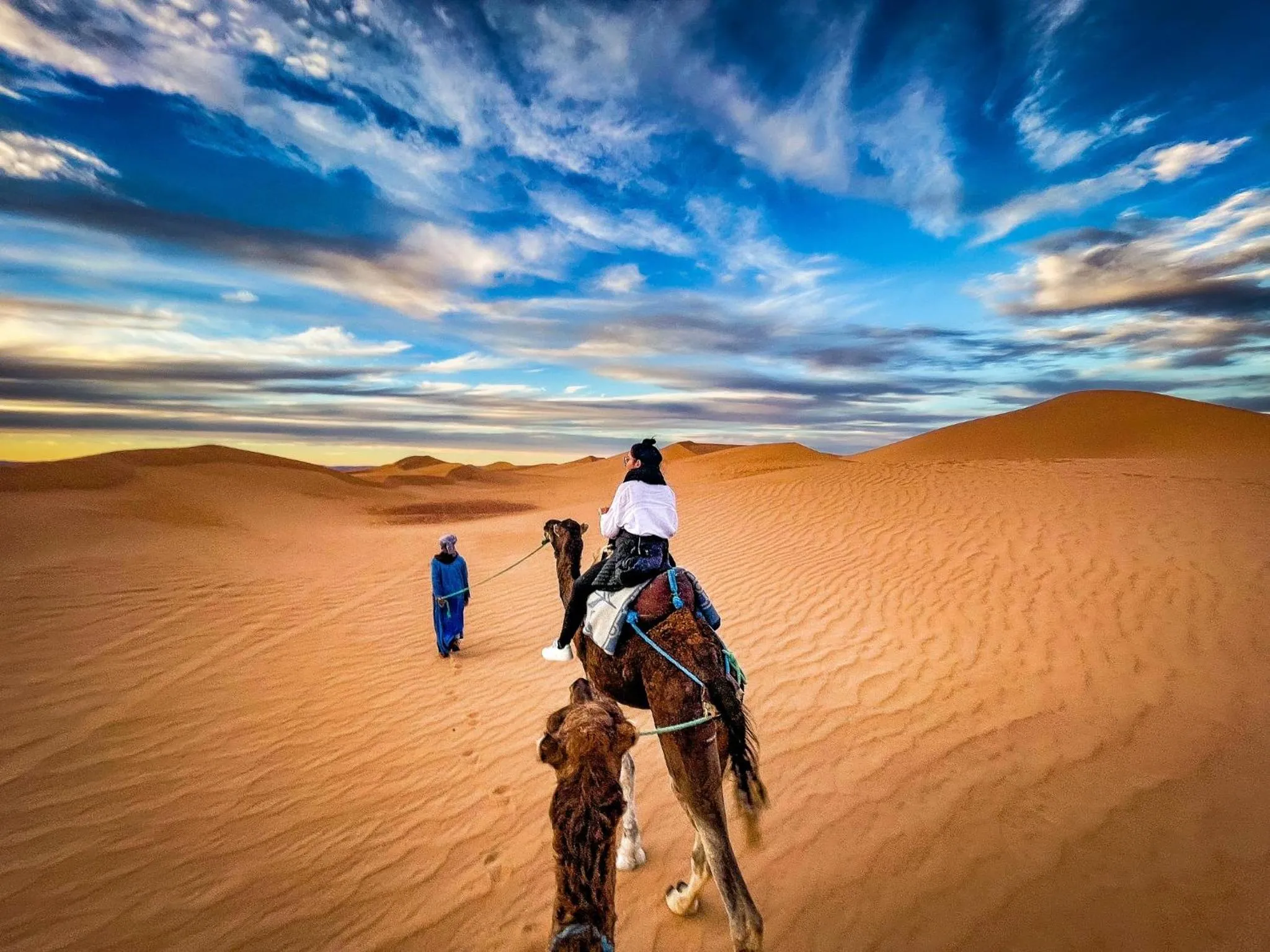 Pets in Authentique berber Camp & Activities
