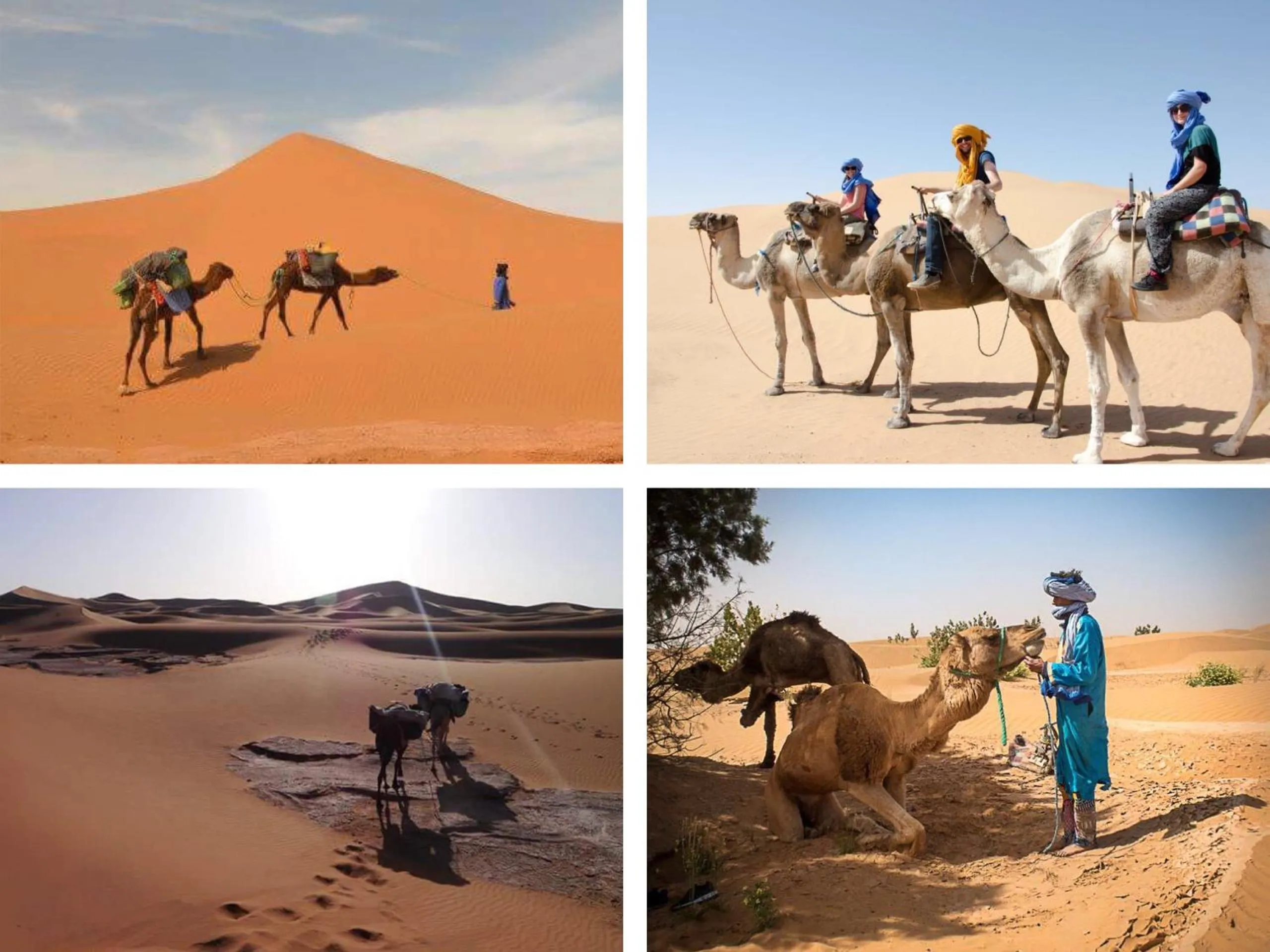 Horse-riding in Authentique berber Camp & Activities