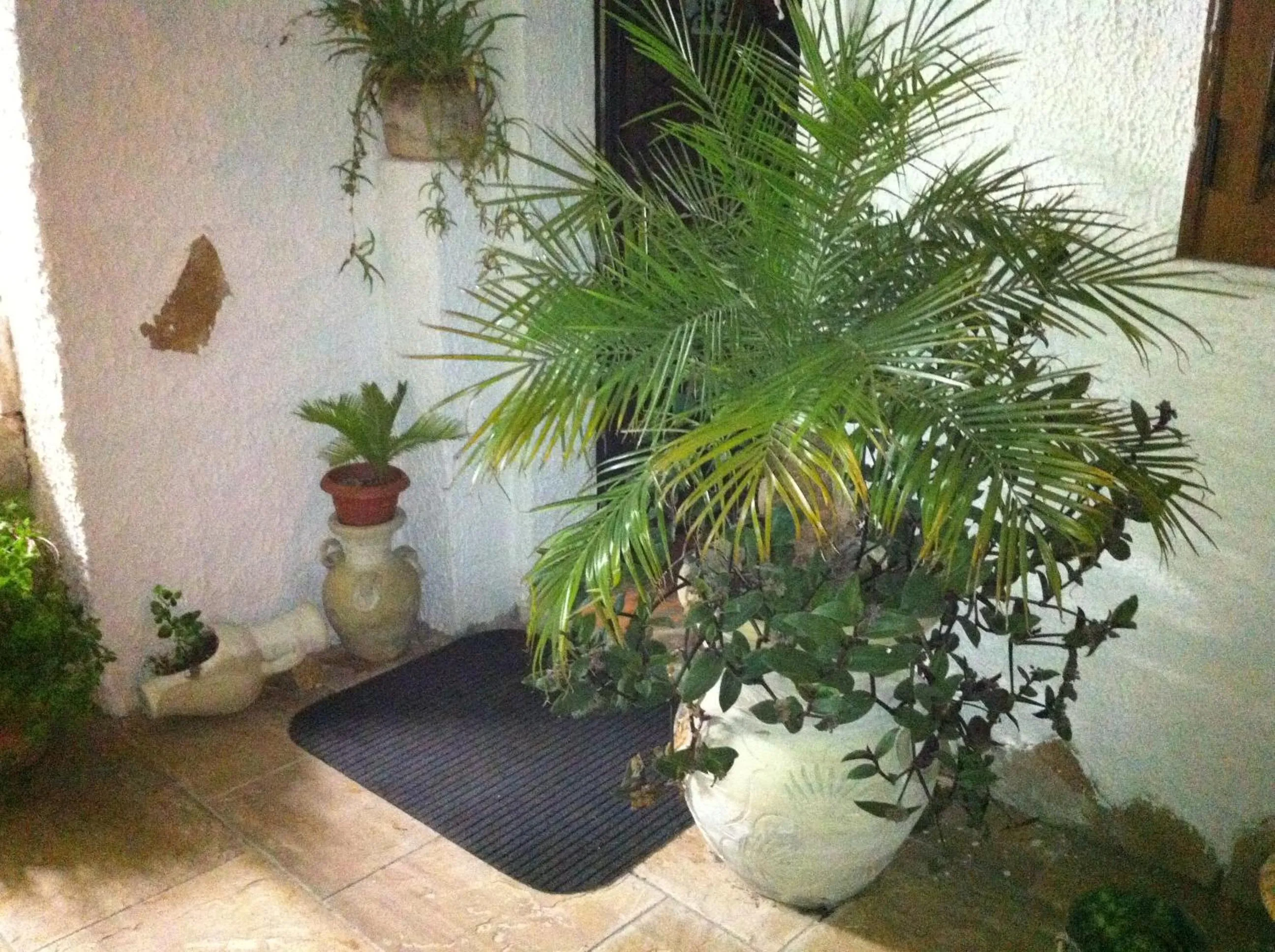 Facade/entrance in La Pergola B&B