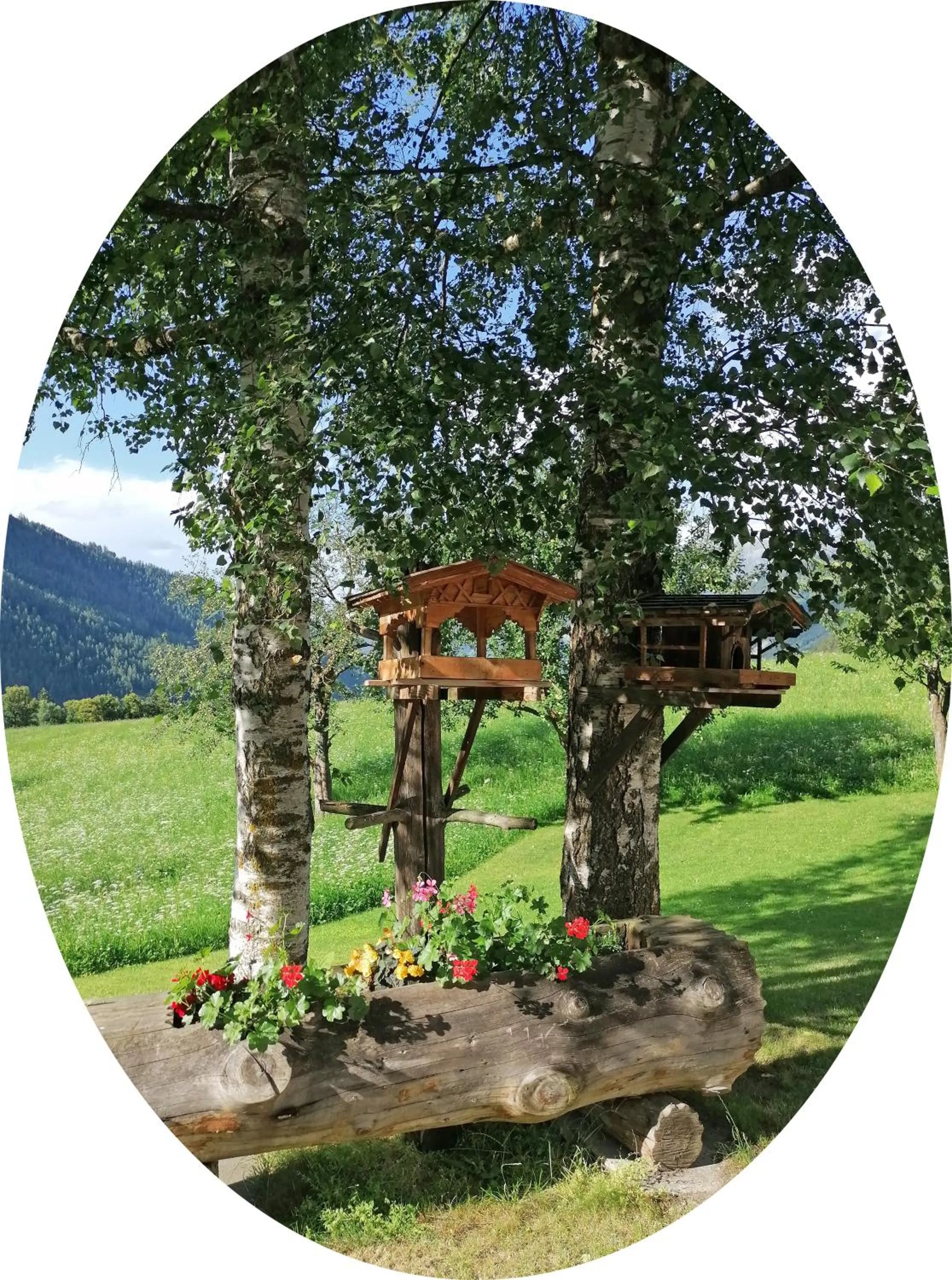 Haus zur Mühle