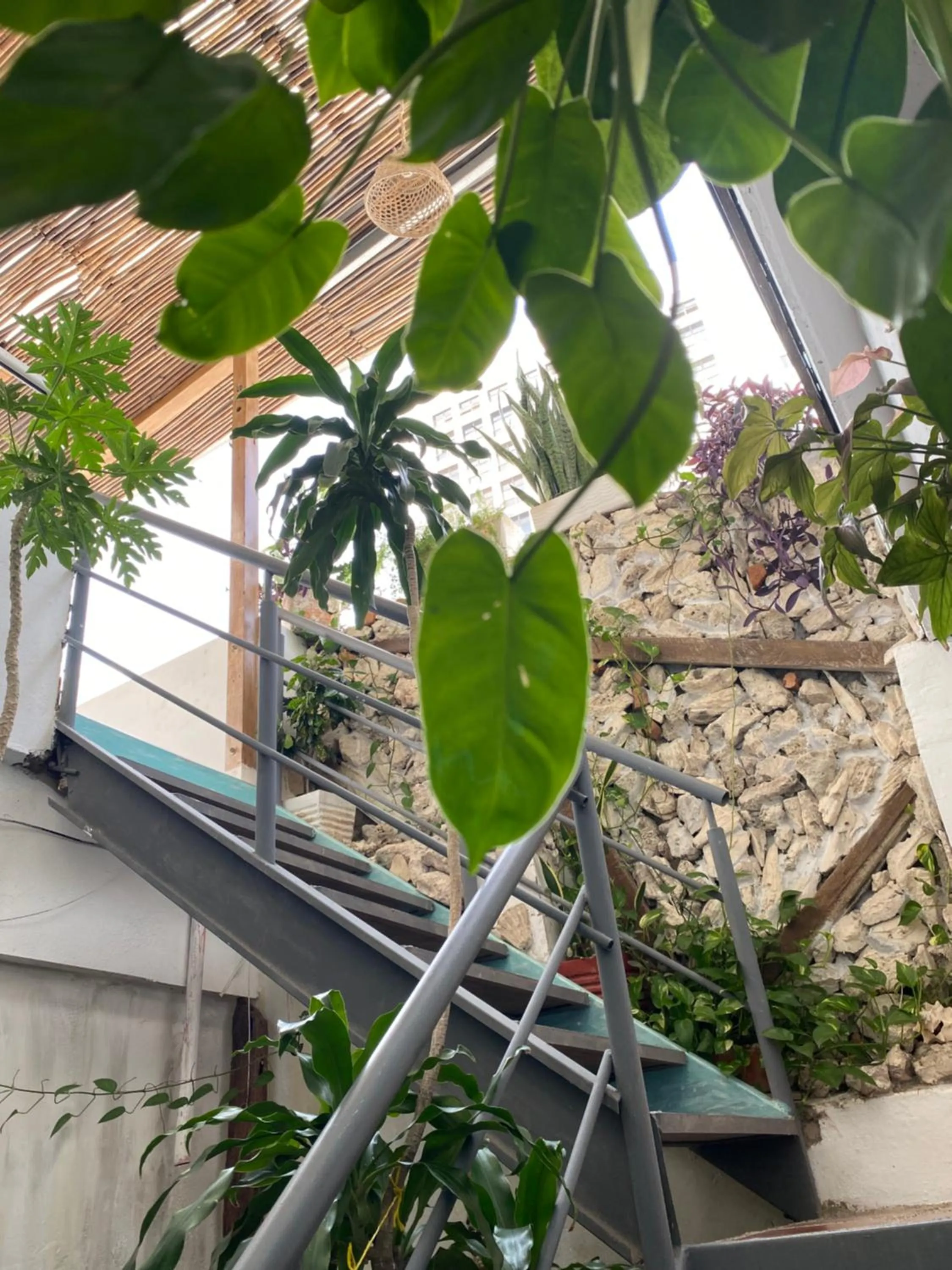 Decorative detail in Balcones de Venecia