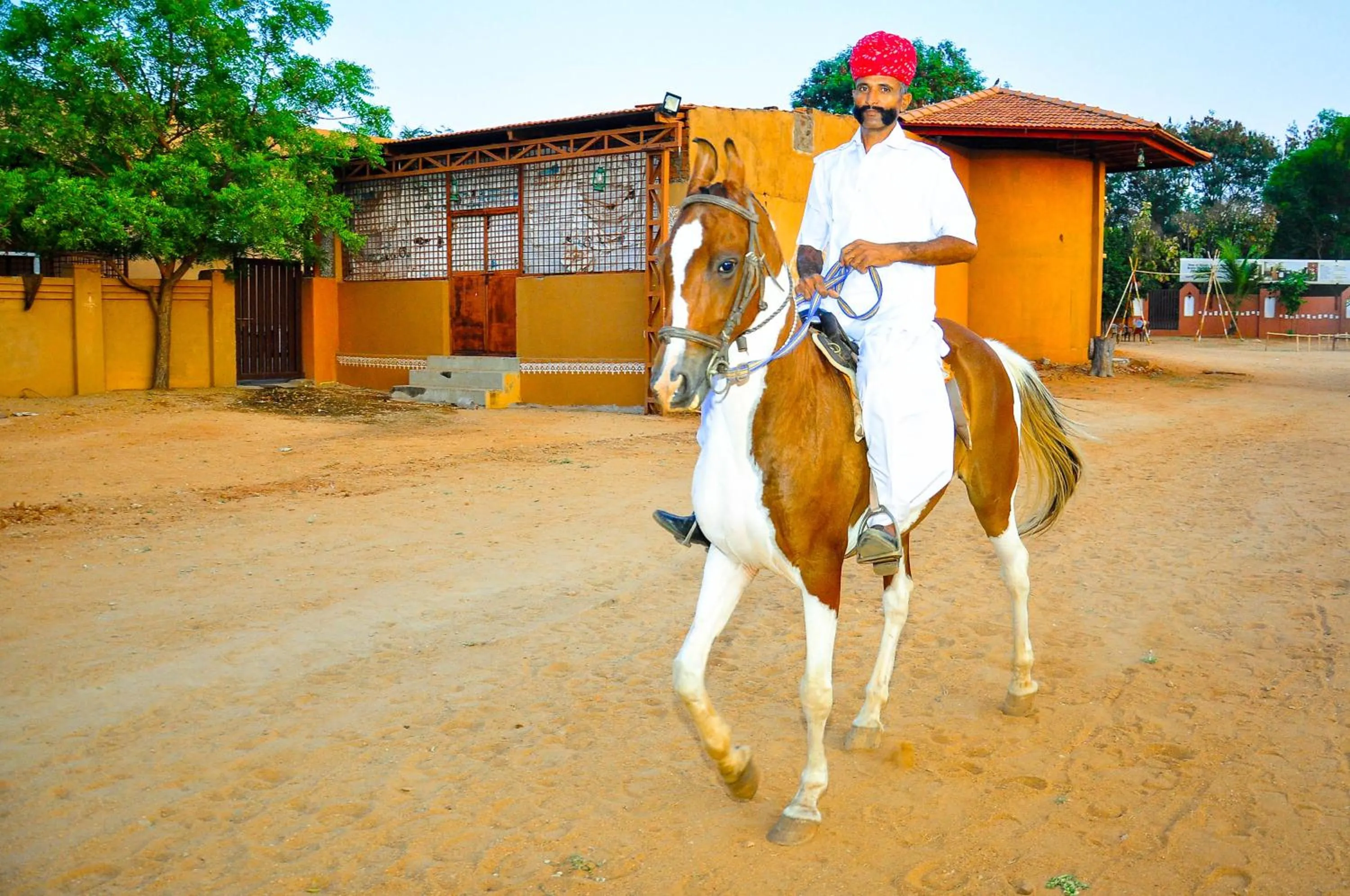 Horse-riding in Vijayshree Resort, Hampi