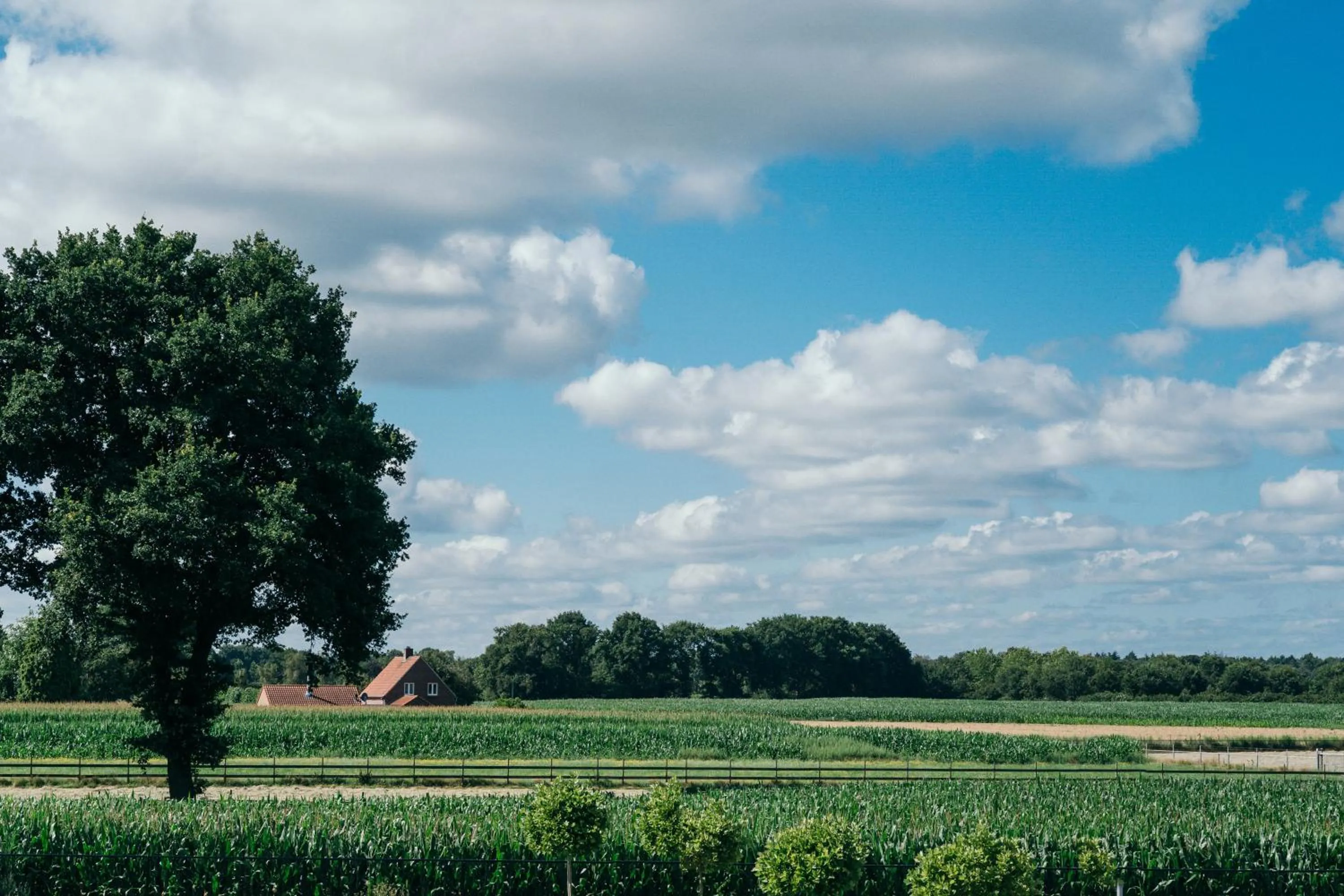 View (from property/room) in Hotel 46