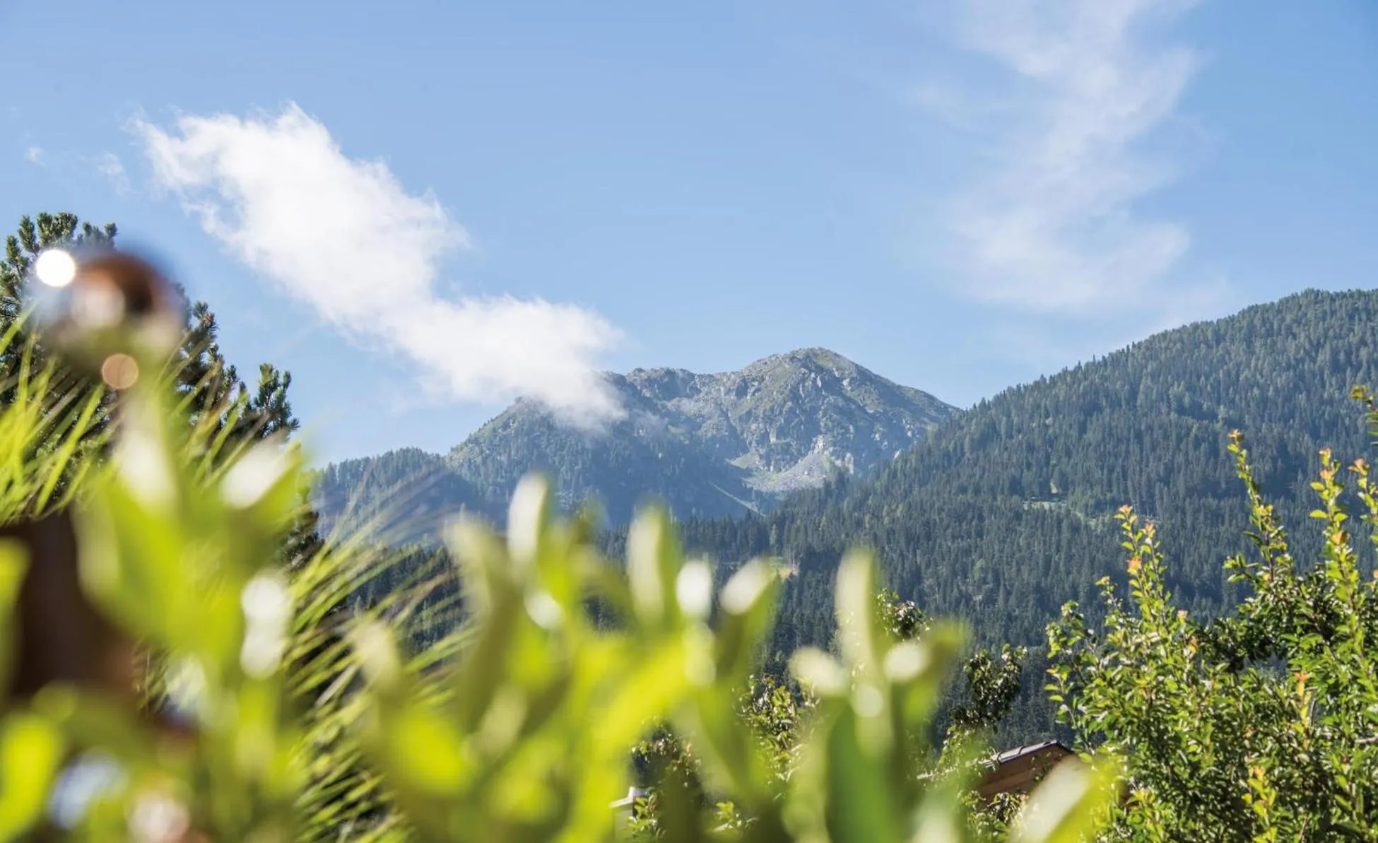 Natural landscape in Hotel juenmi