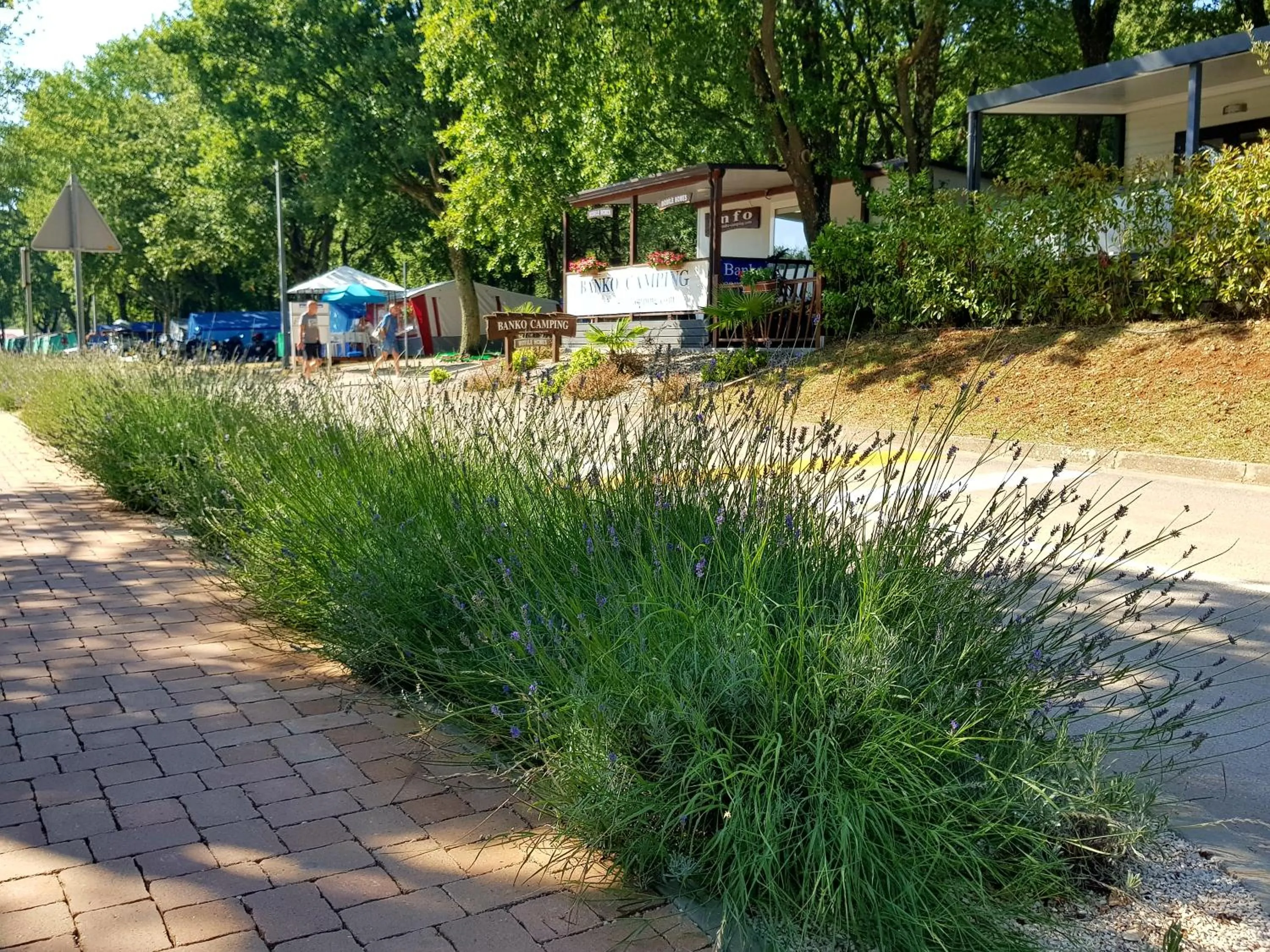 Property building in Mobile Homes Banko in Bijela Uvala and Zelena laguna