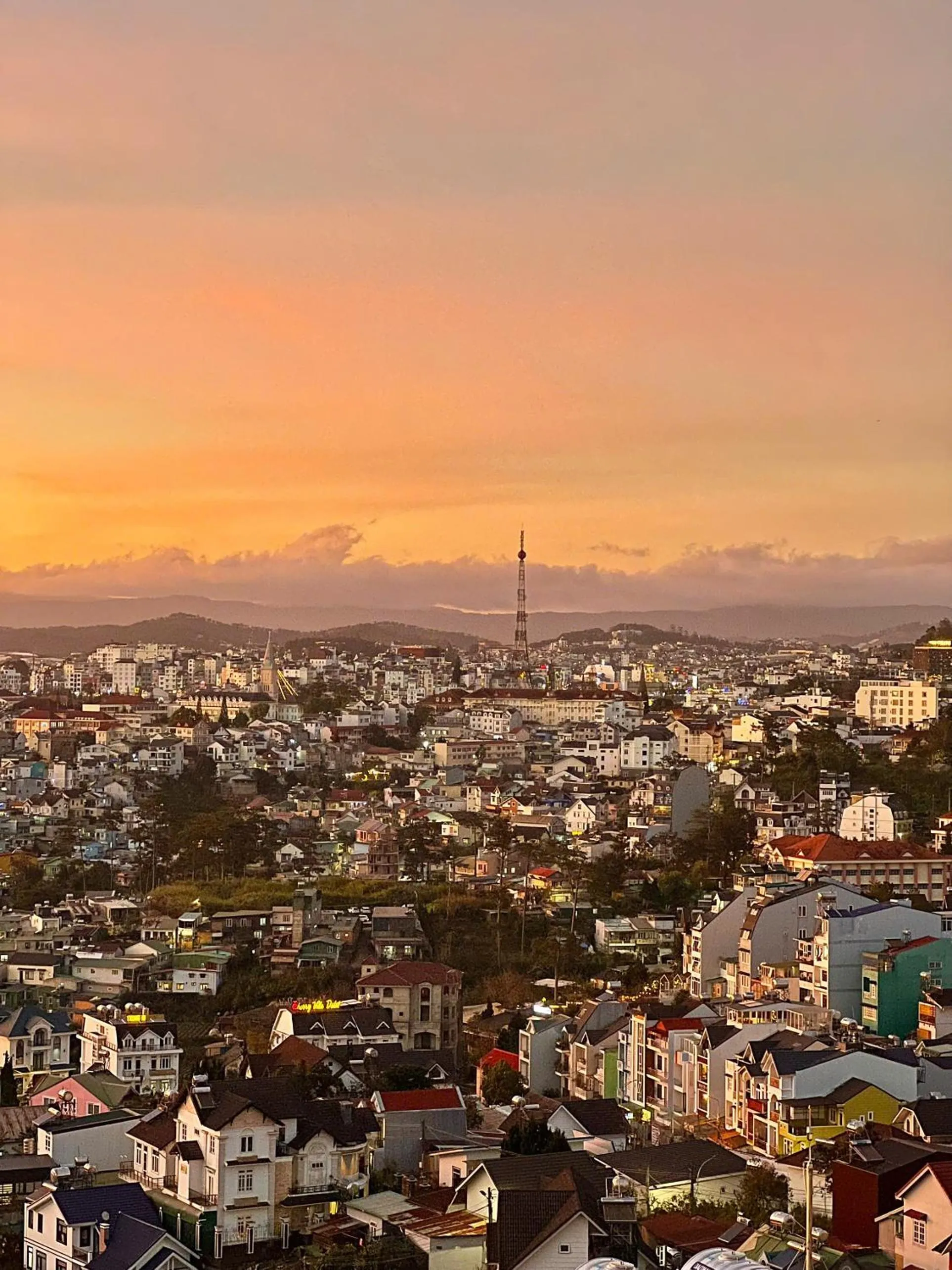Natural landscape in New Life Hotel - Da Lat