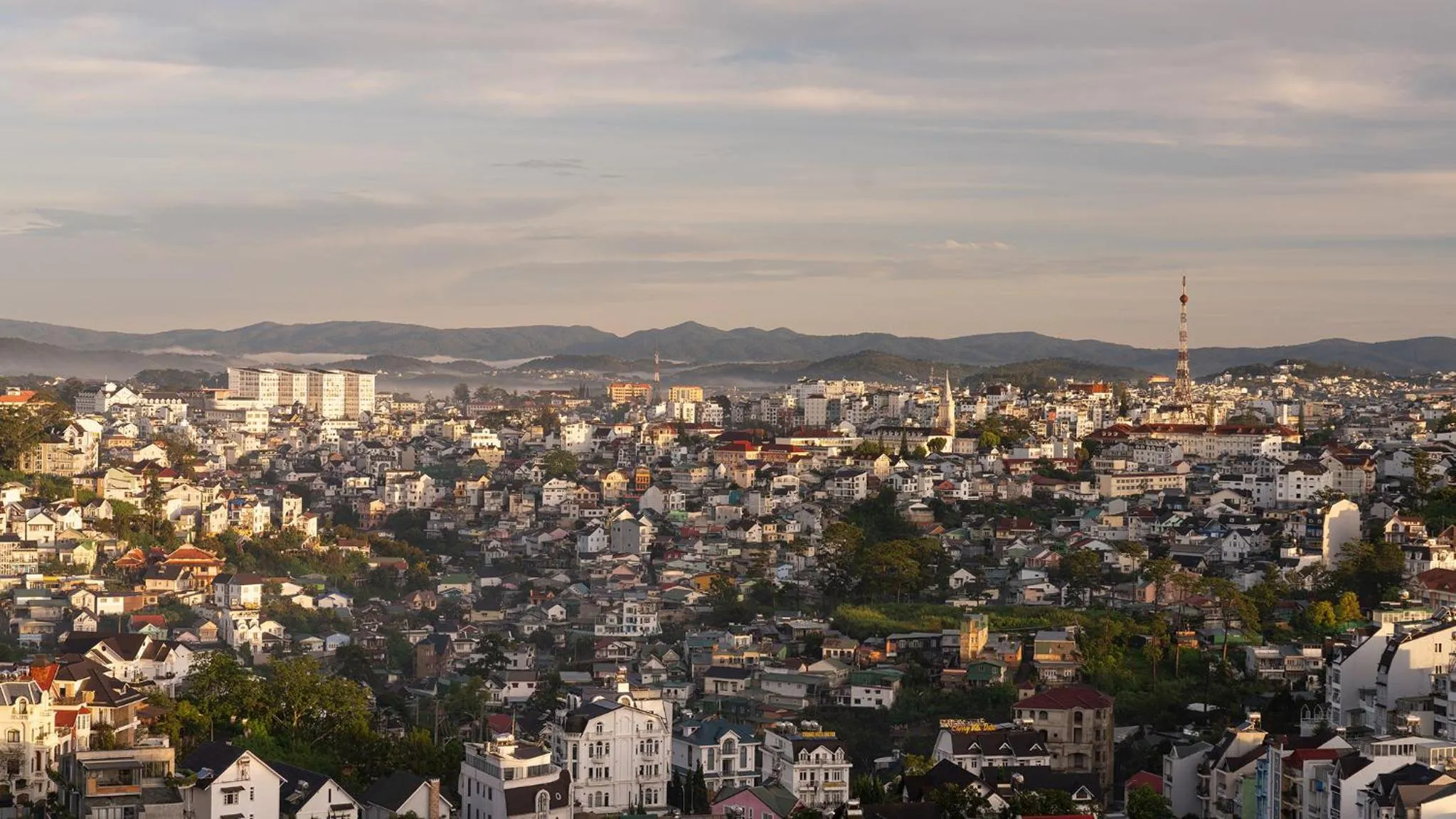 Natural landscape in New Life Hotel - Da Lat
