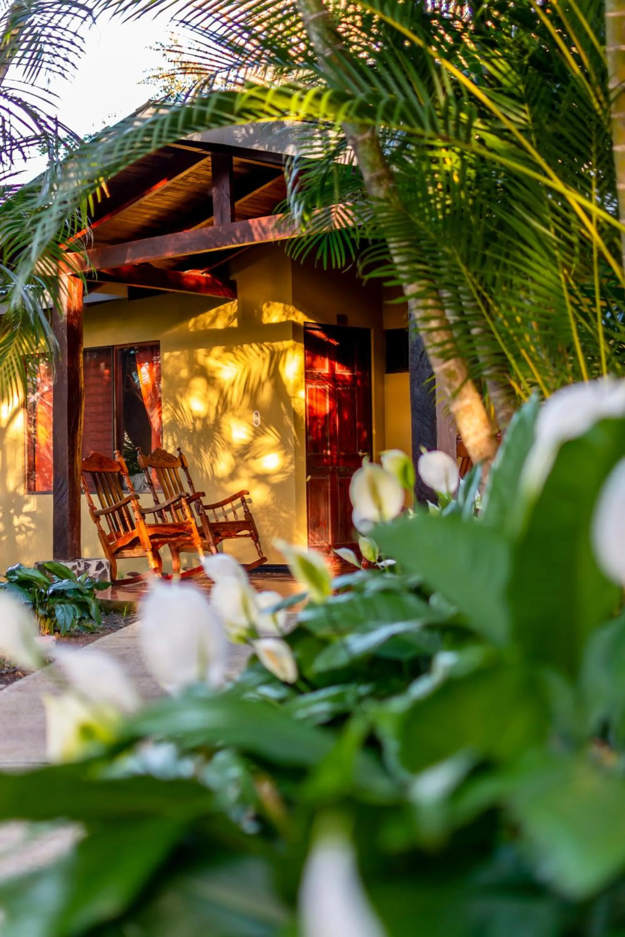 View (from property/room) in Rinconcito Lodge