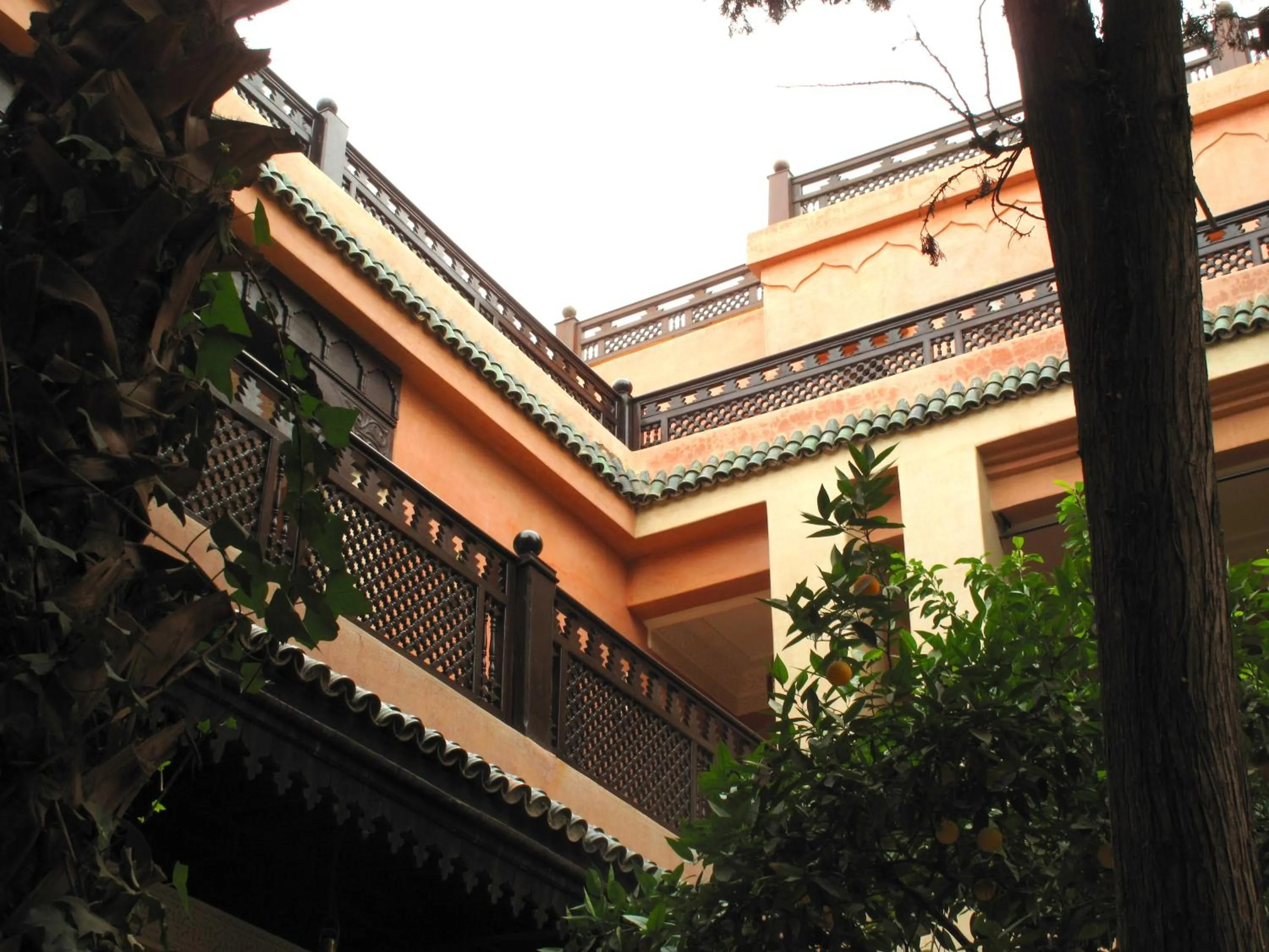 Day in Riad Le Perroquet Bleu Suites & Spa