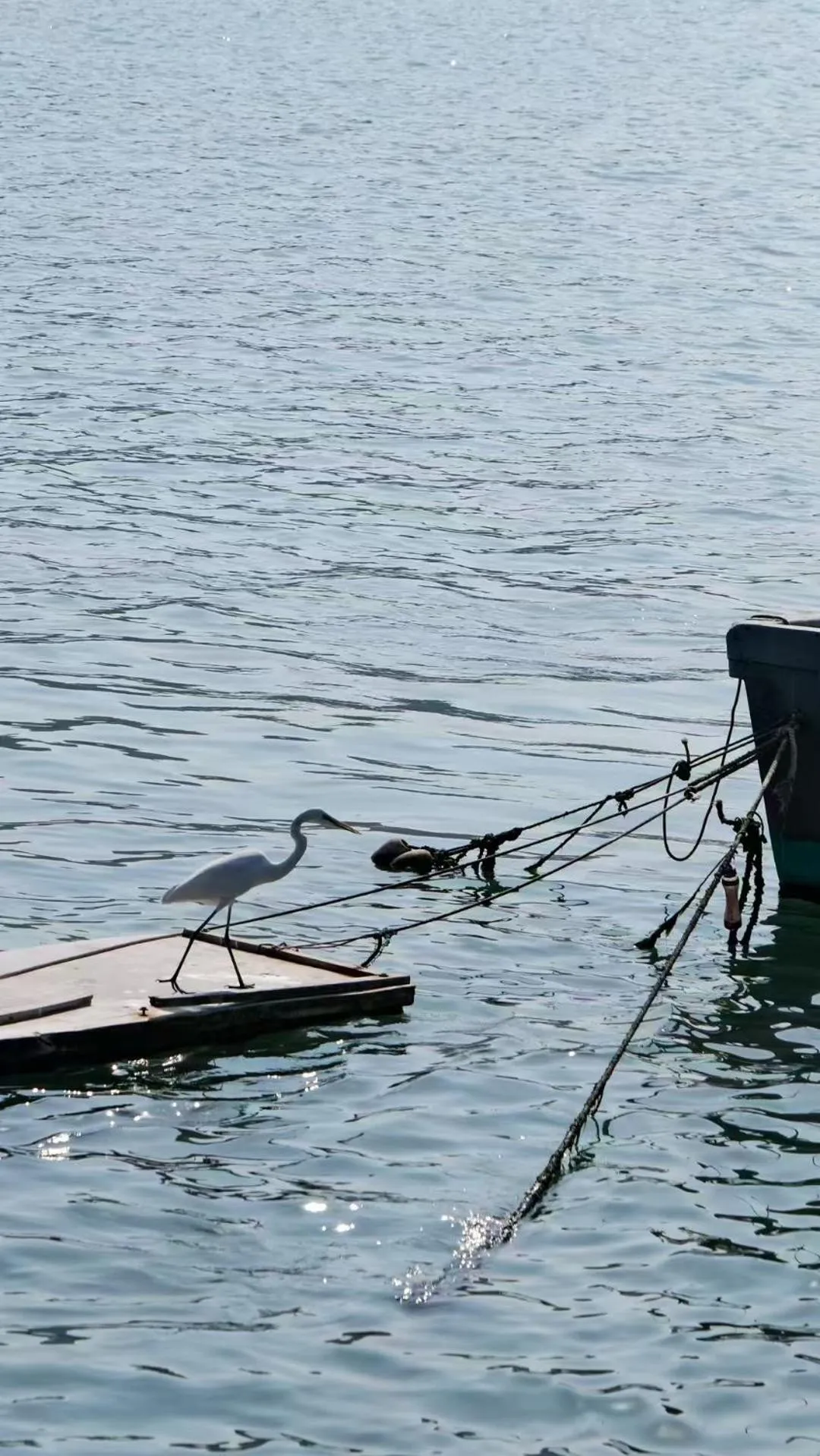 Natural landscape in DoubleTree by Hilton Shanwei