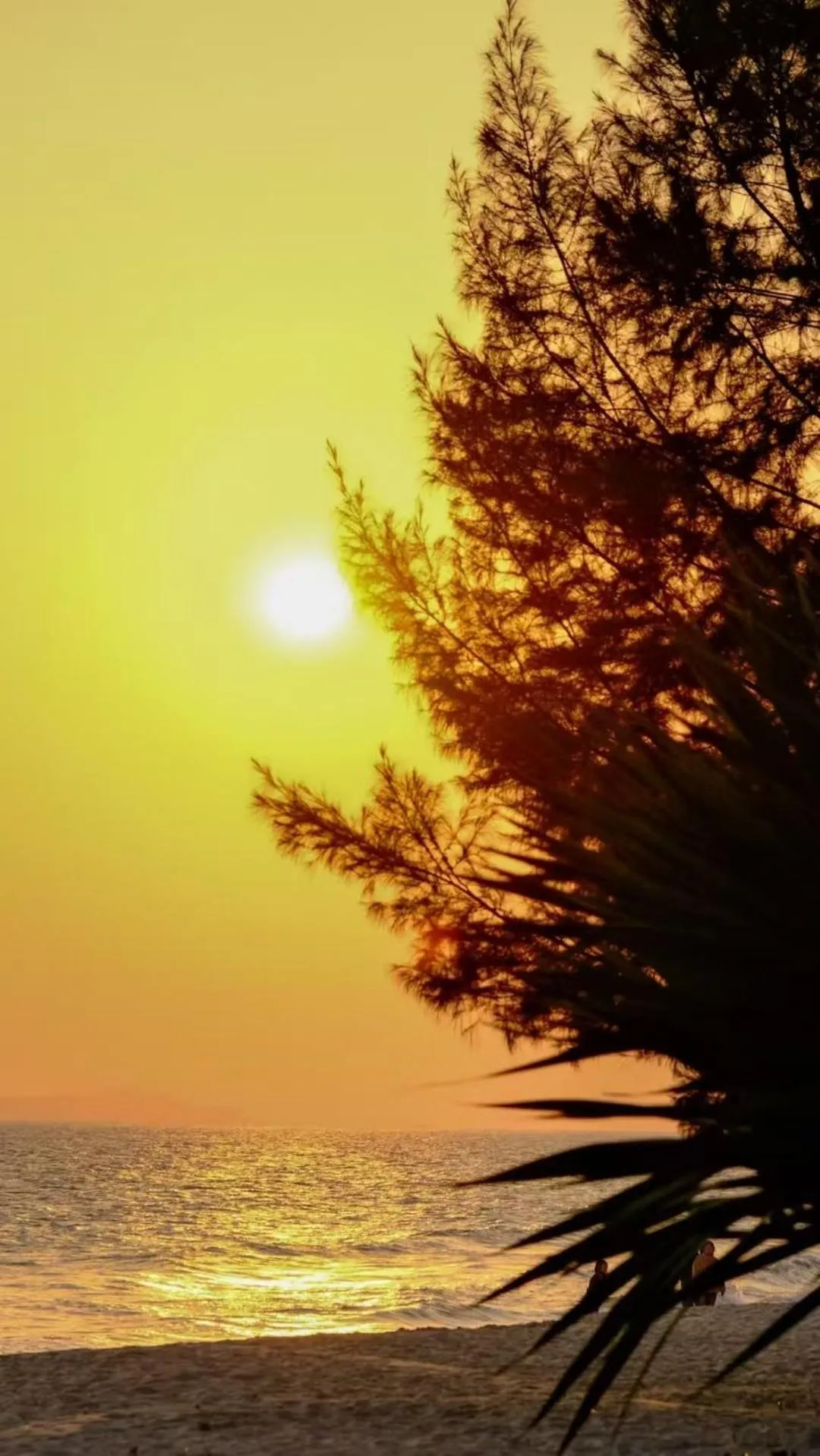 Natural landscape in DoubleTree by Hilton Shanwei