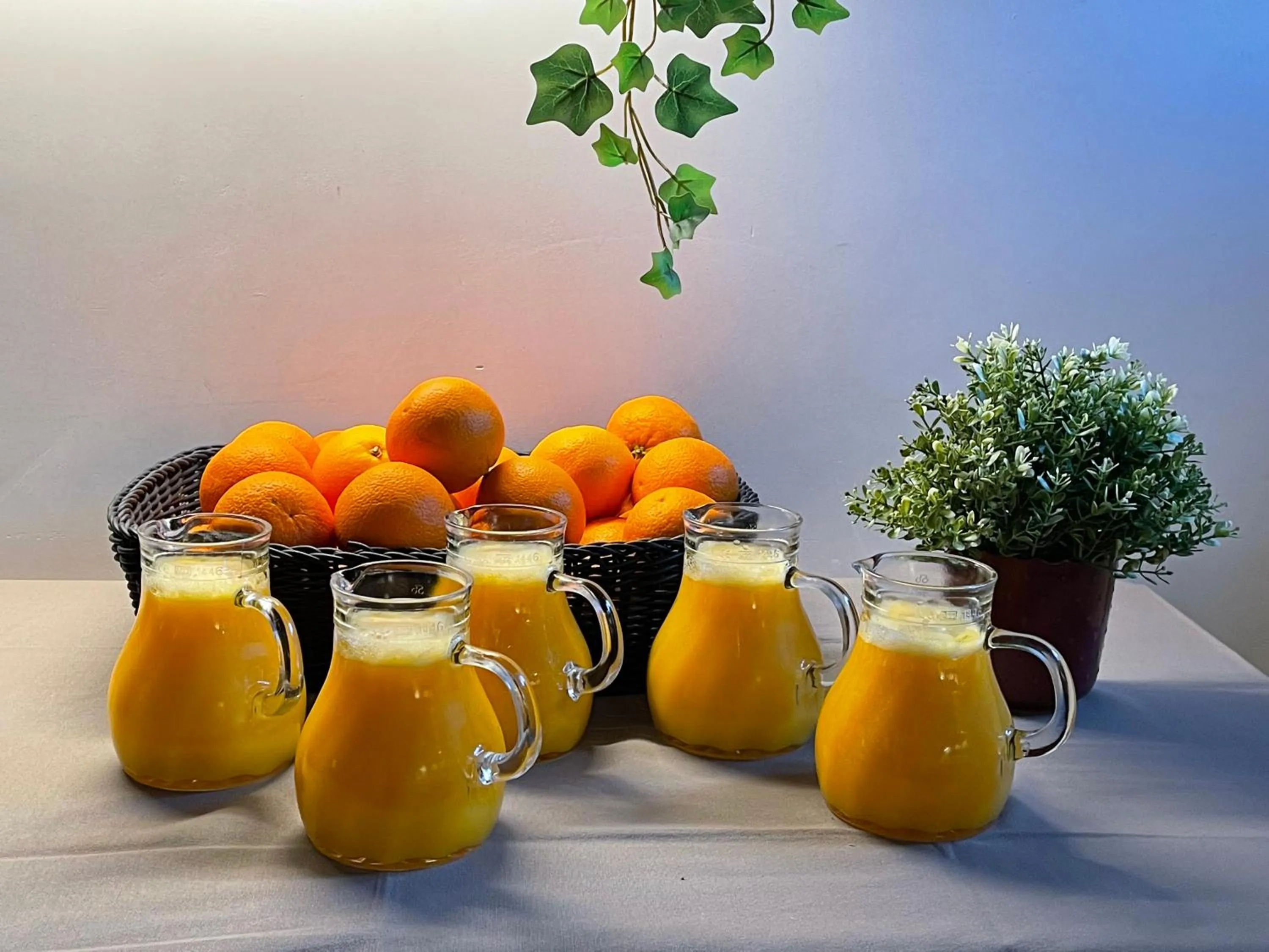 B&B HOTEL IN FERME DE LEUZE nabij Durbuy, eigen laadpalen