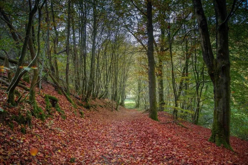 B&B HOTEL IN FERME DE LEUZE nabij Durbuy, eigen laadpalen
