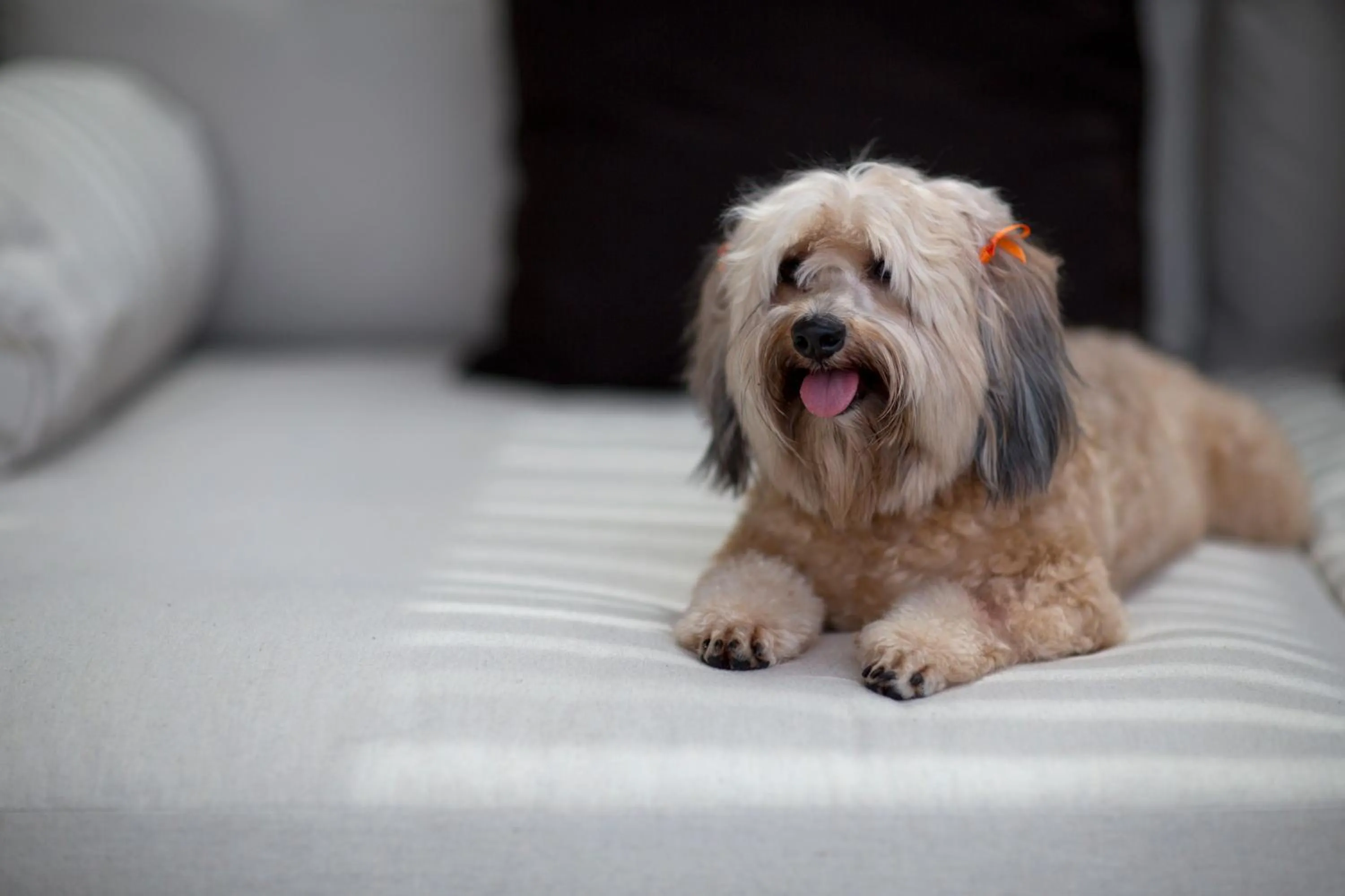 Bedroom in NIZUC Resort & Spa