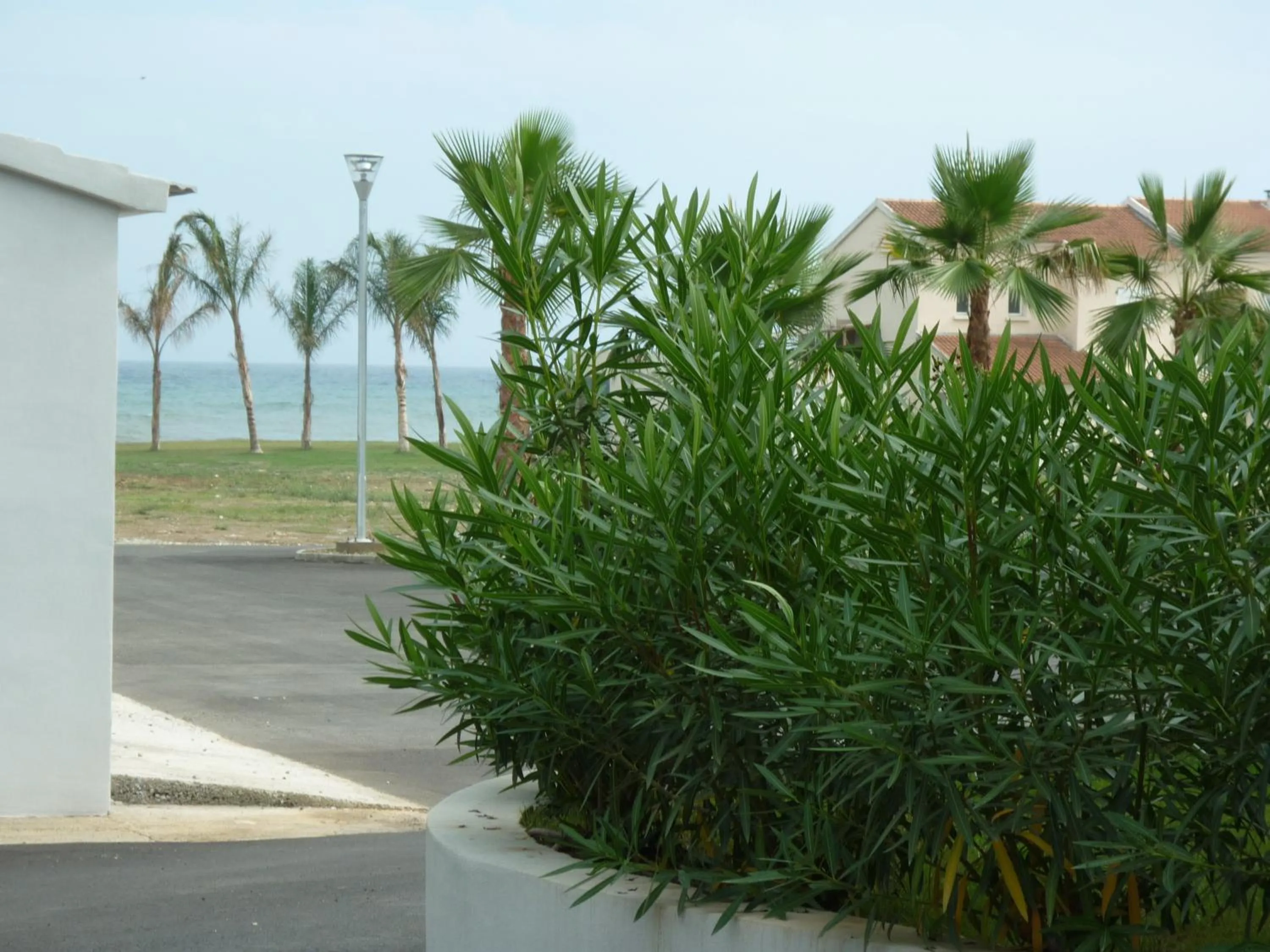 Natural landscape in Residence Marea Resort