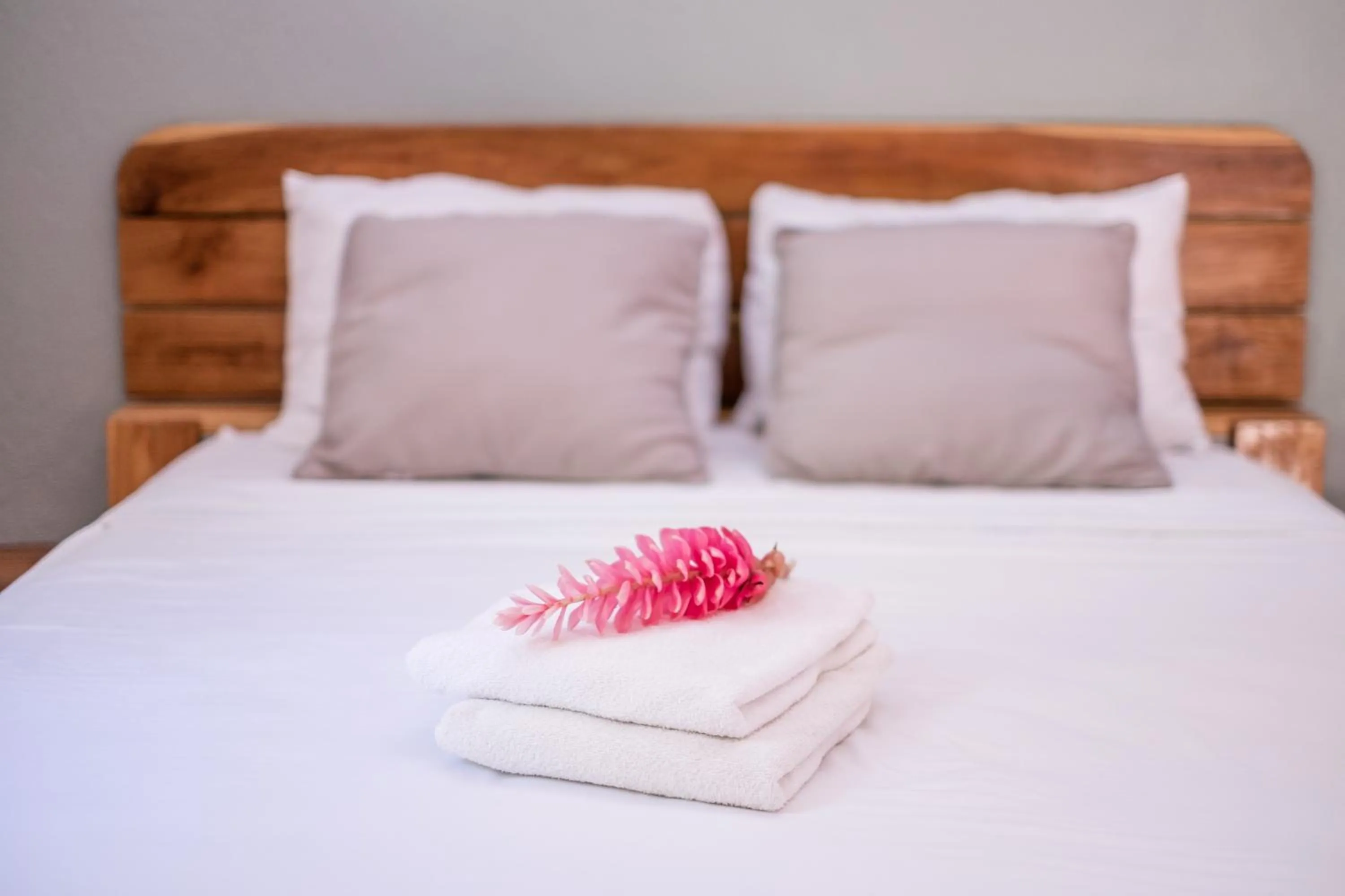 Bed in Zula Inn Aparthotel