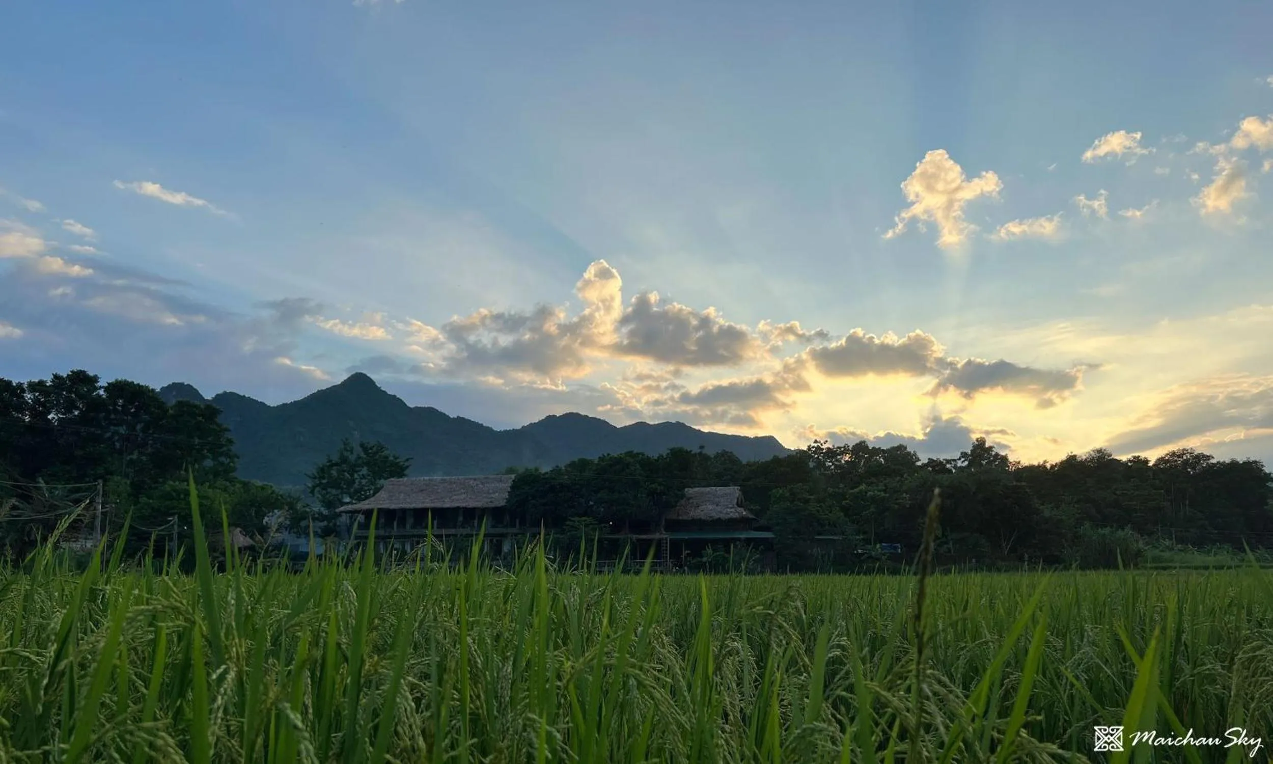 Natural landscape in Mai Chau Sky Resort