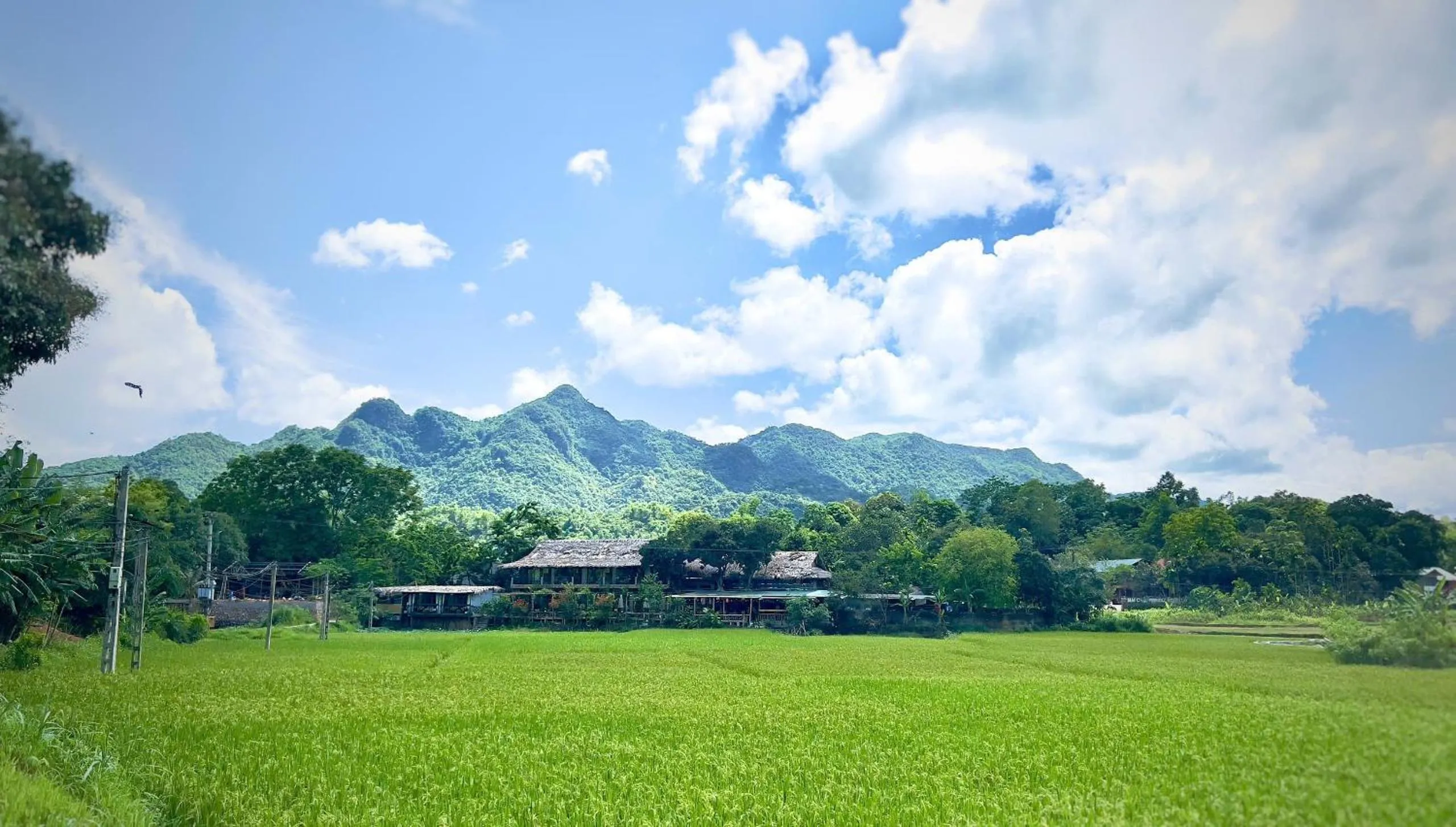 Property building in Mai Chau Sky Resort
