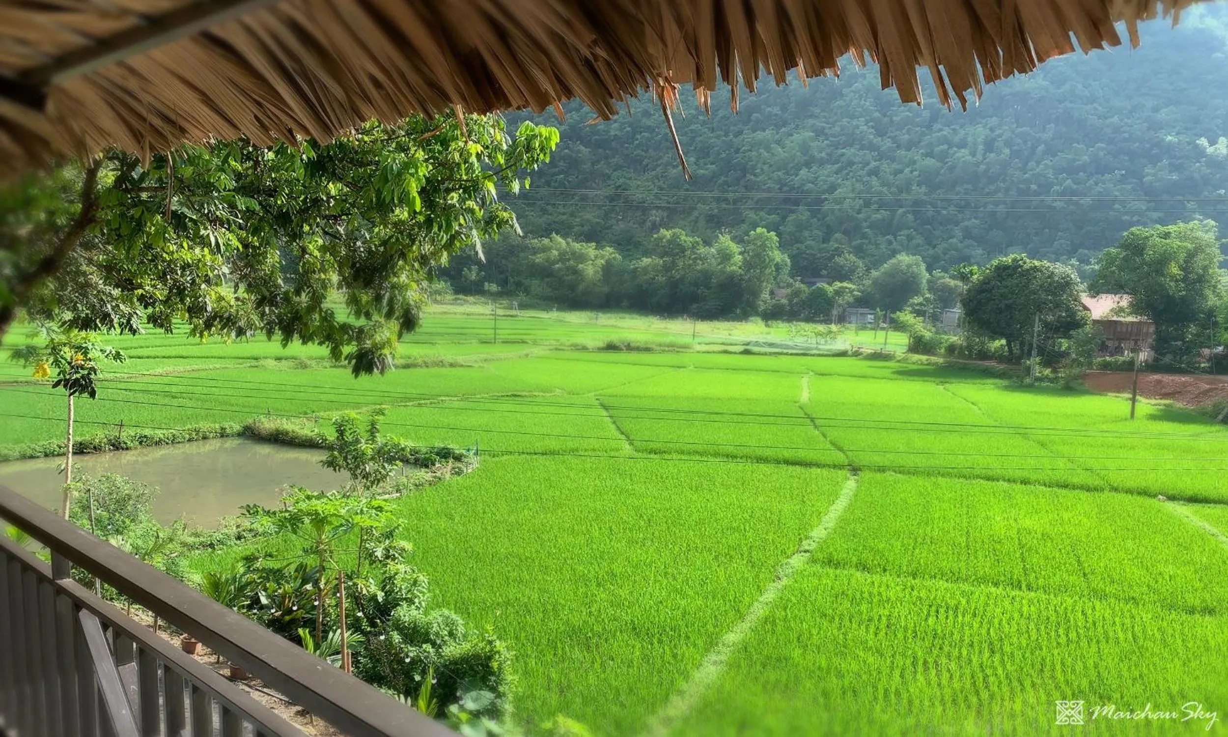 Garden view in Mai Chau Sky Resort