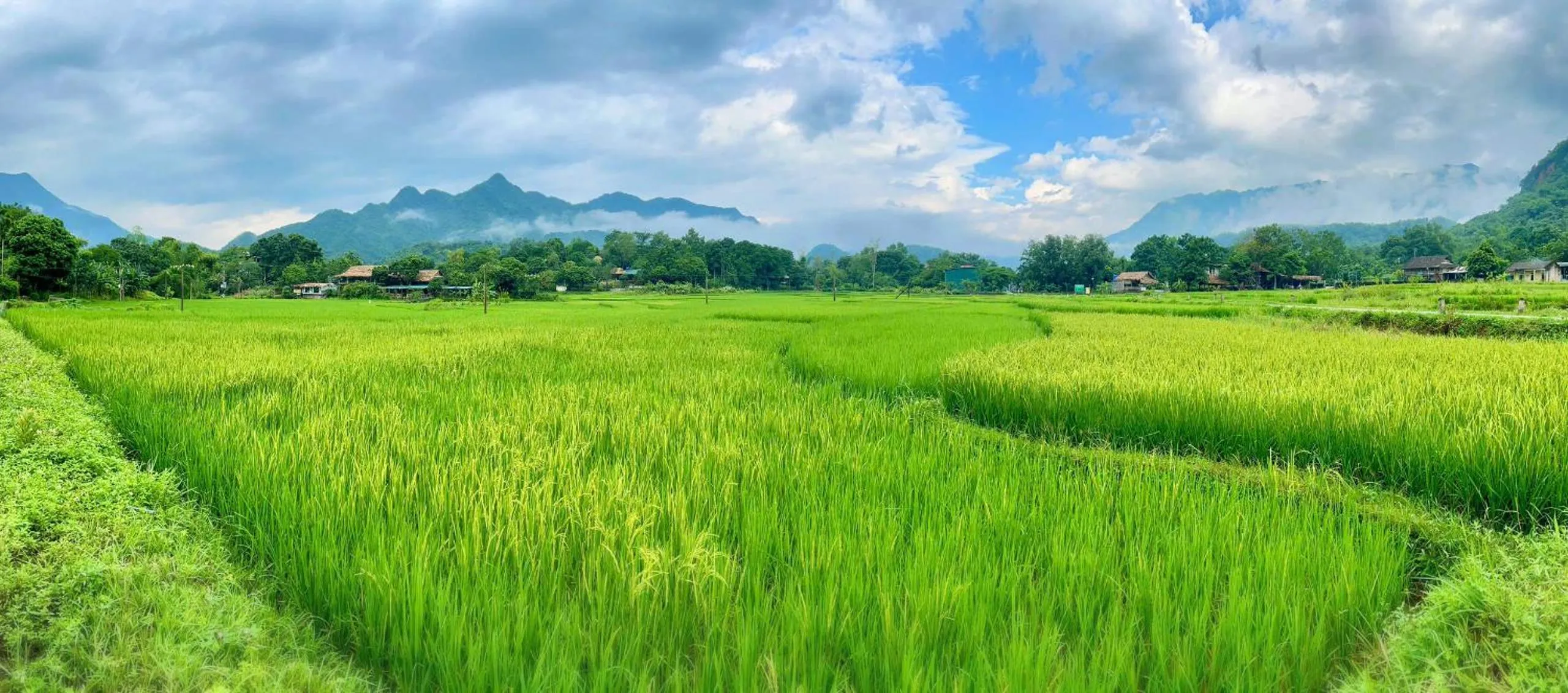 Natural landscape in Mai Chau Sky Resort