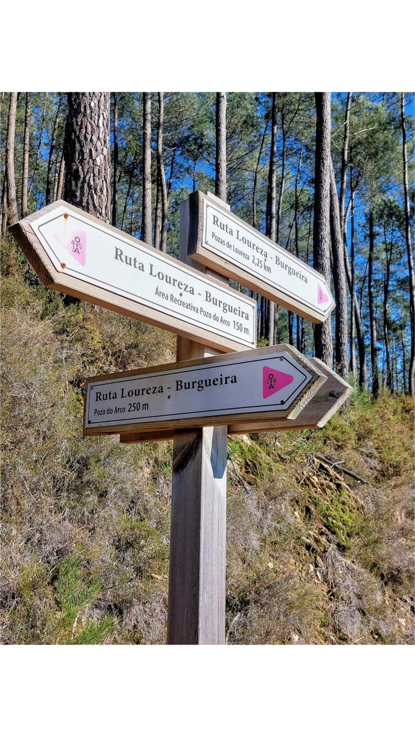 Hotel Apartamento Marouco