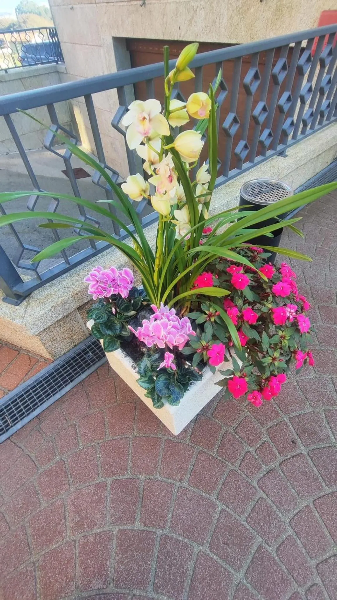 Off site in Hotel Apartamento Marouco