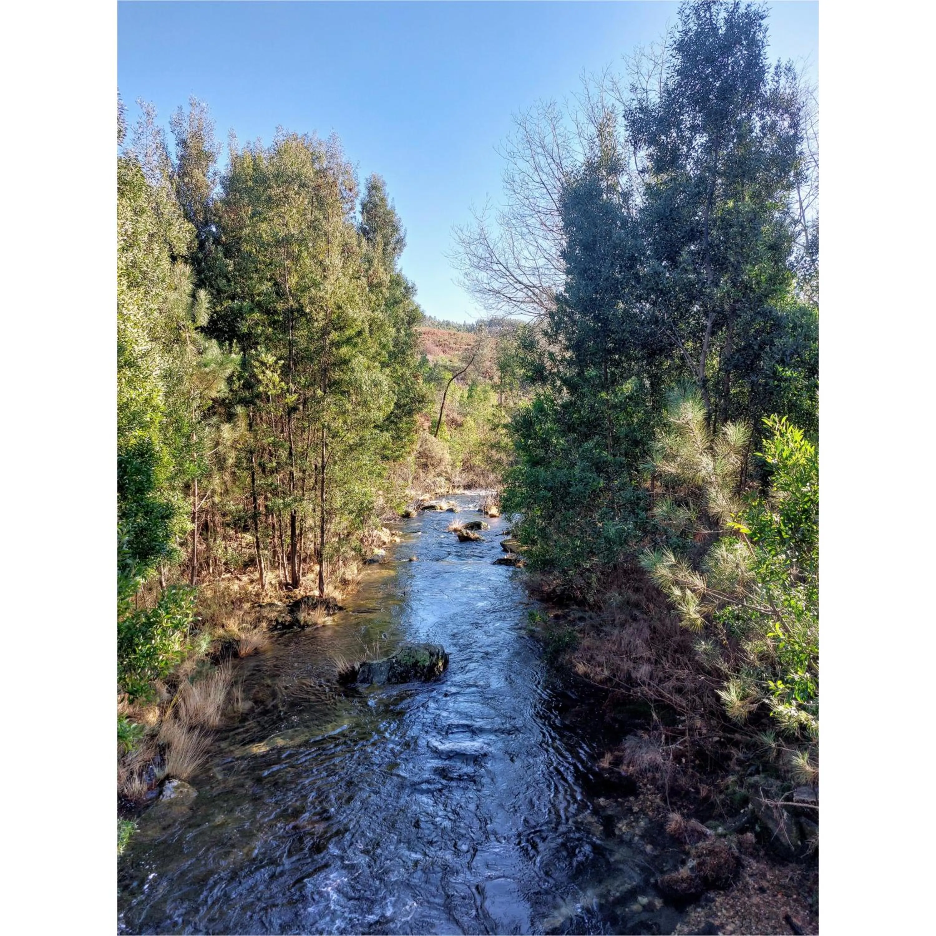 Hotel Apartamento Marouco