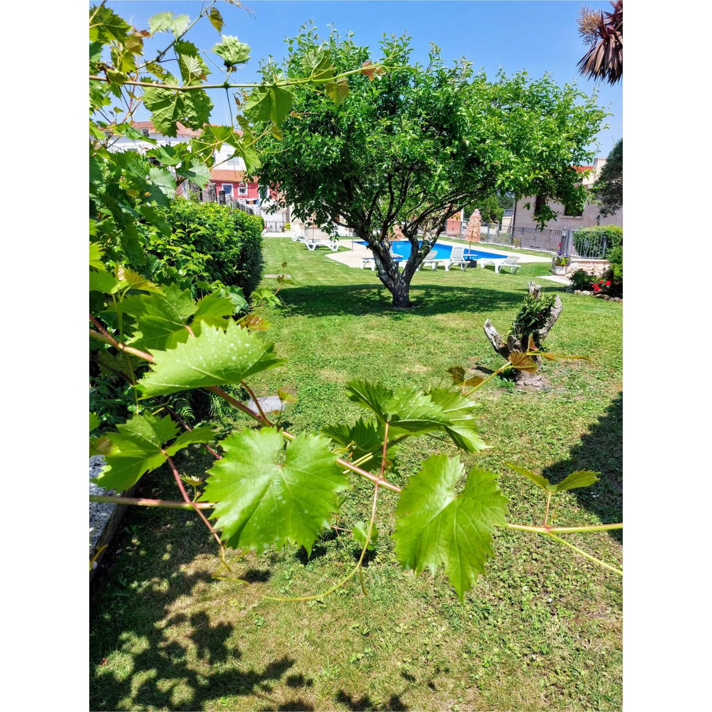 Hotel Apartamento Marouco