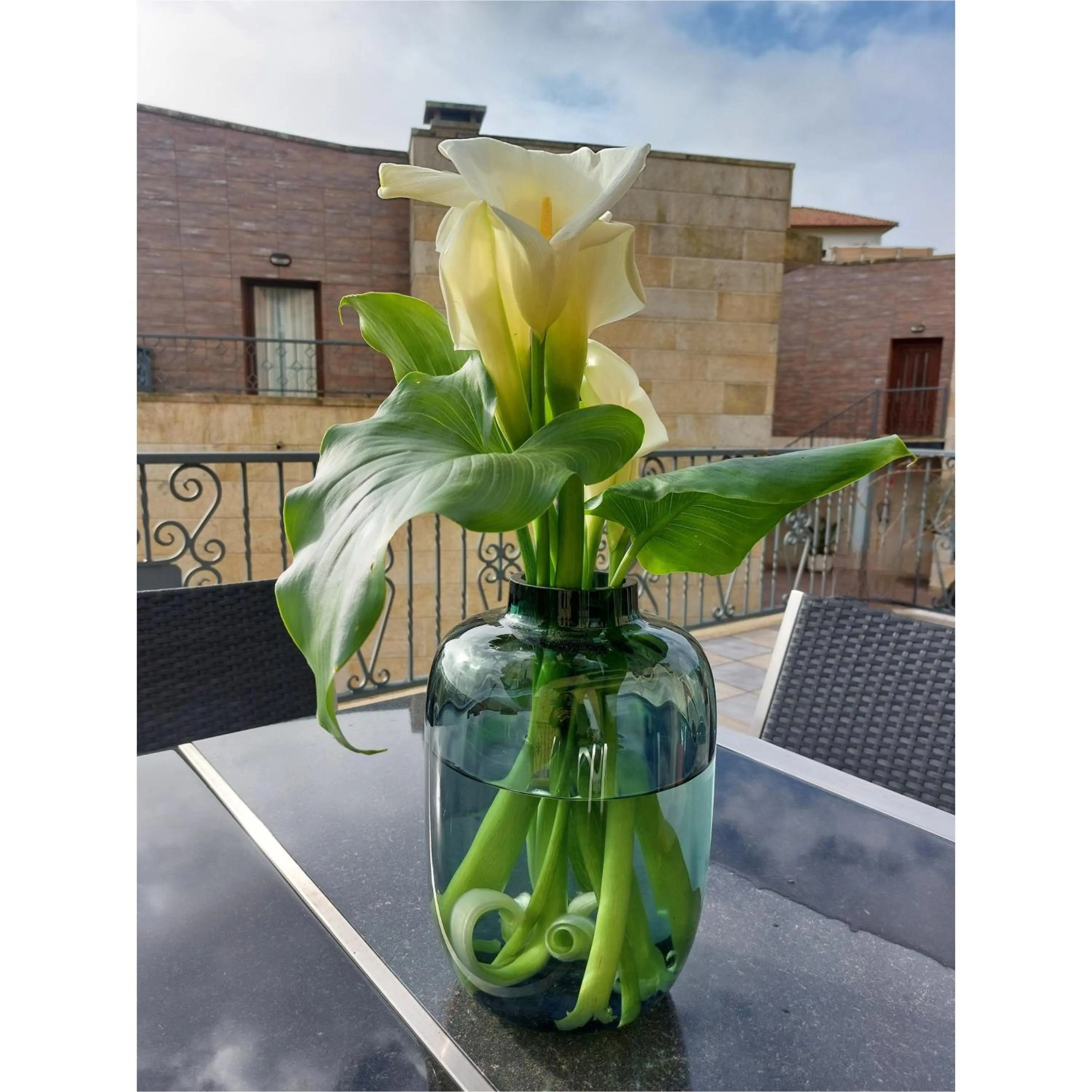 Hotel Apartamento Marouco