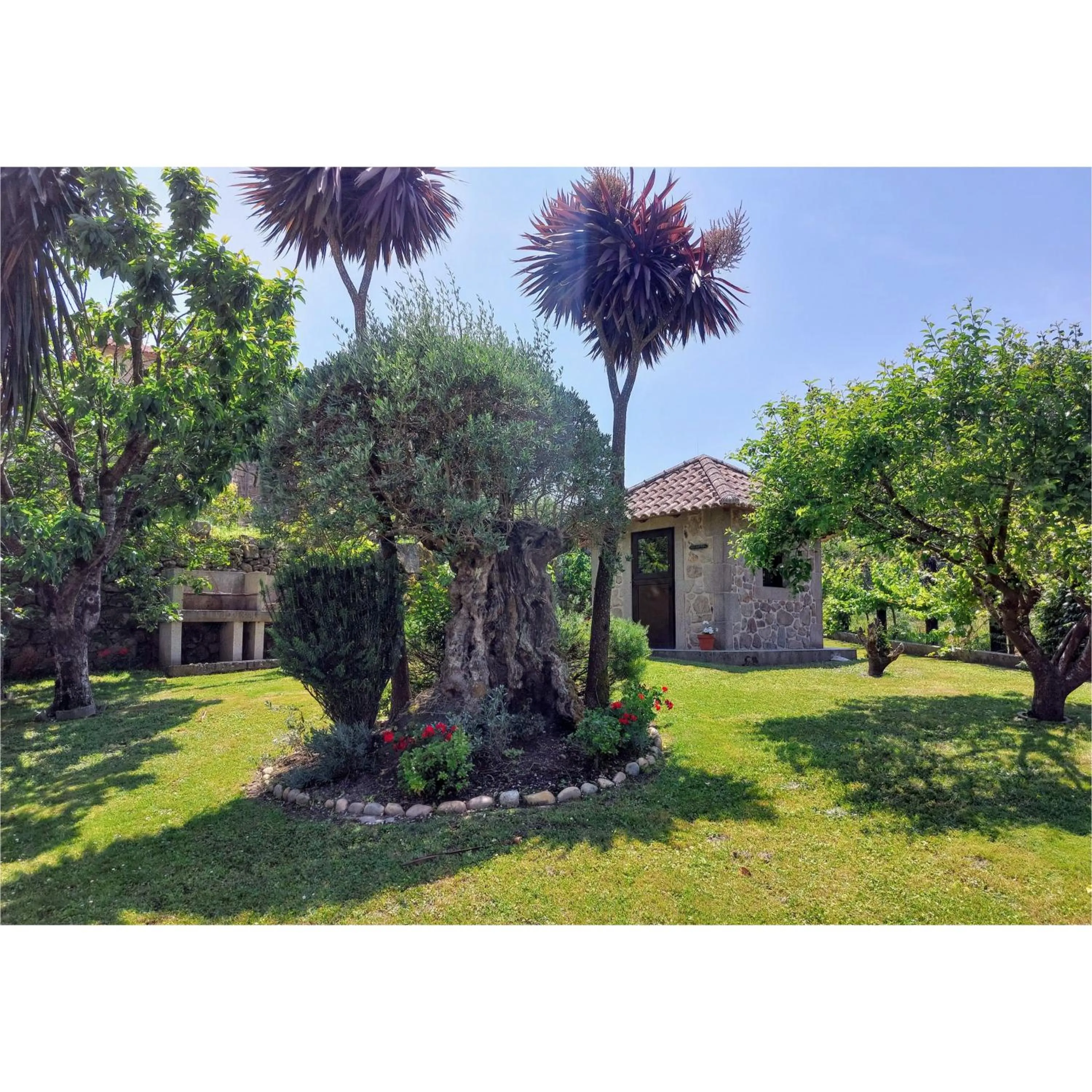 Hotel Apartamento Marouco