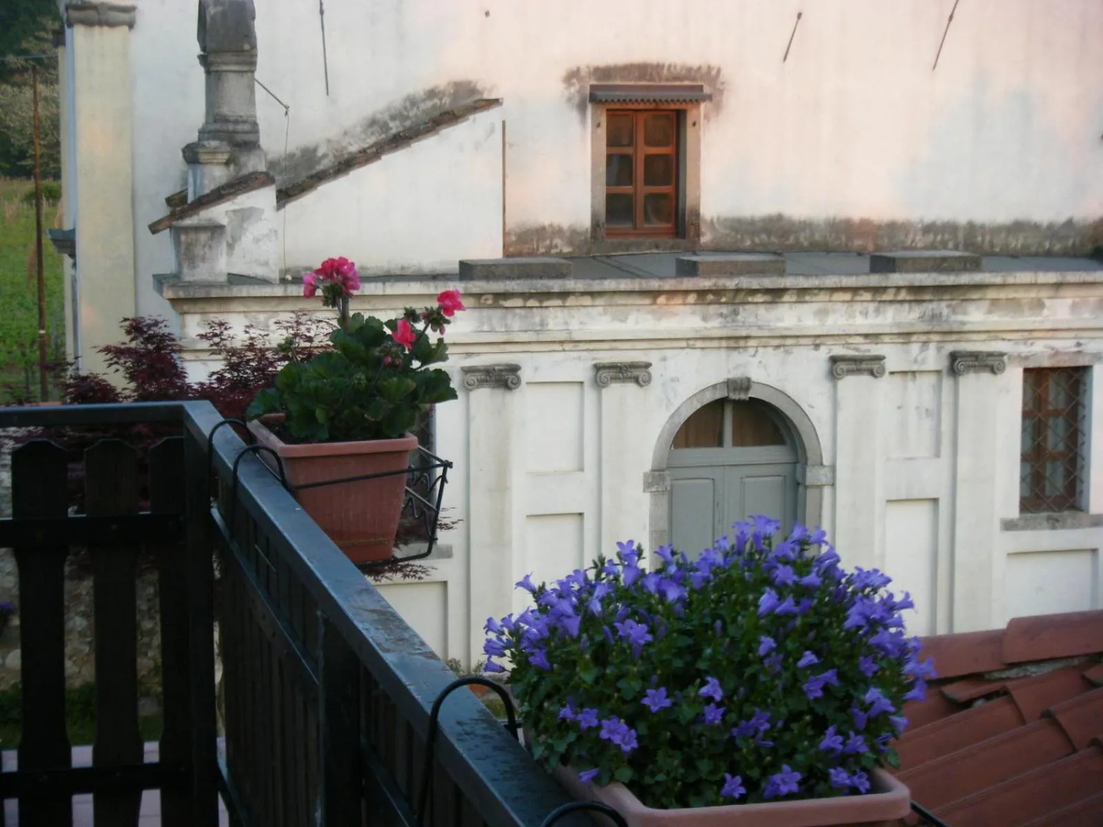 Balcony/Terrace in Agriturismo Grillo Iole Winery